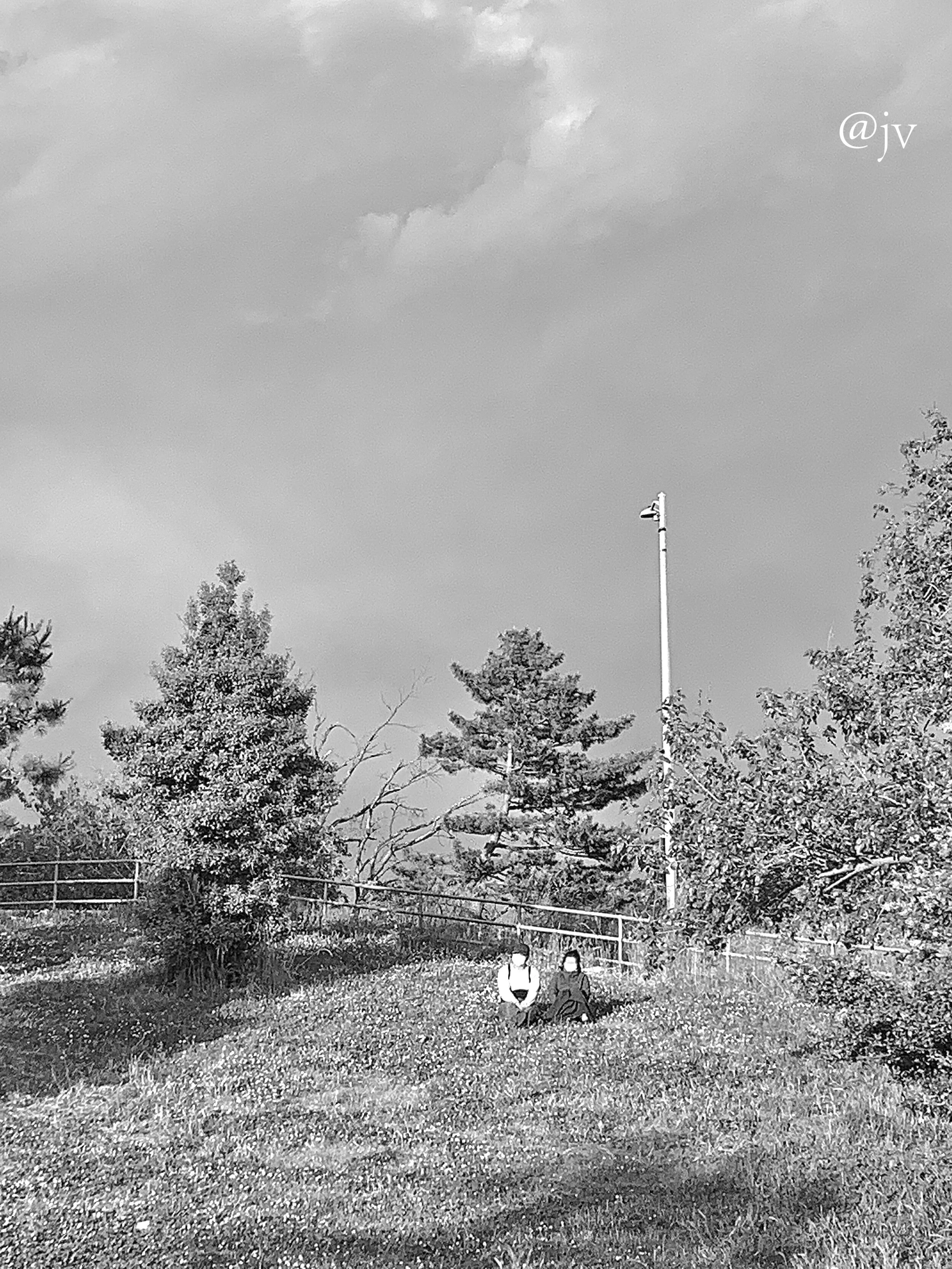 circa 202 3 wm .jpeg