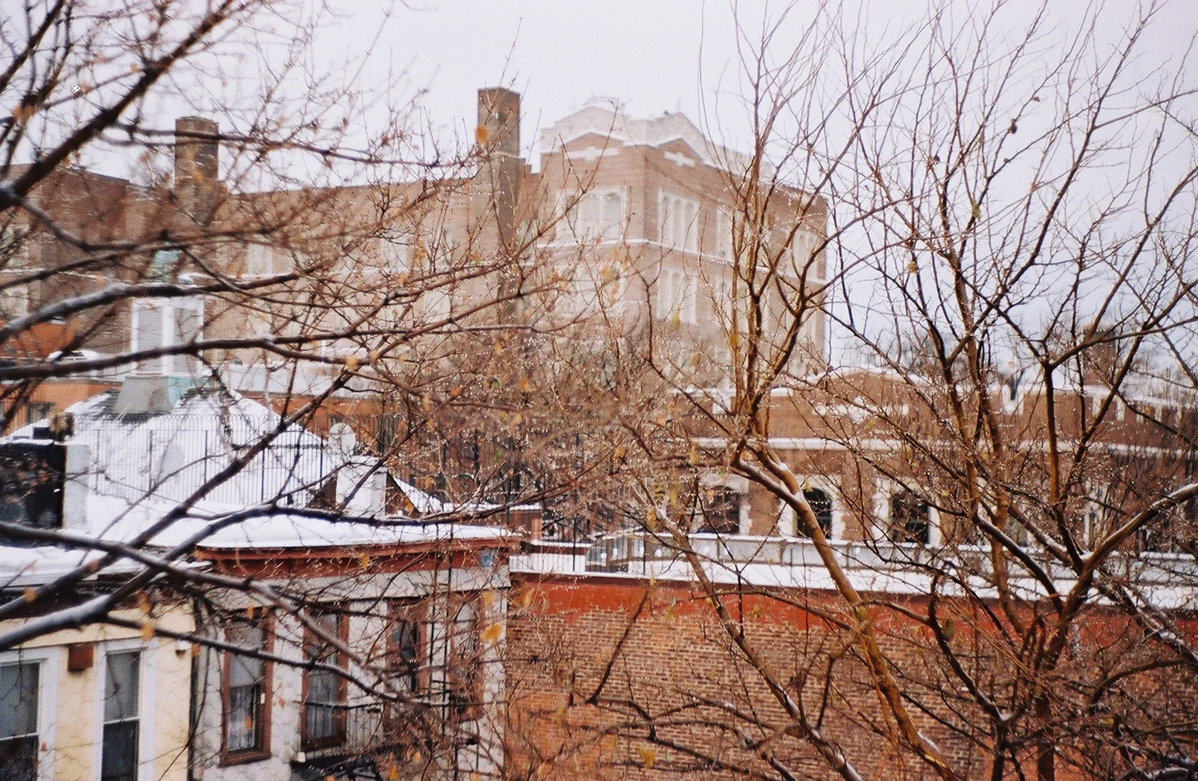 winter mood-2.jpg