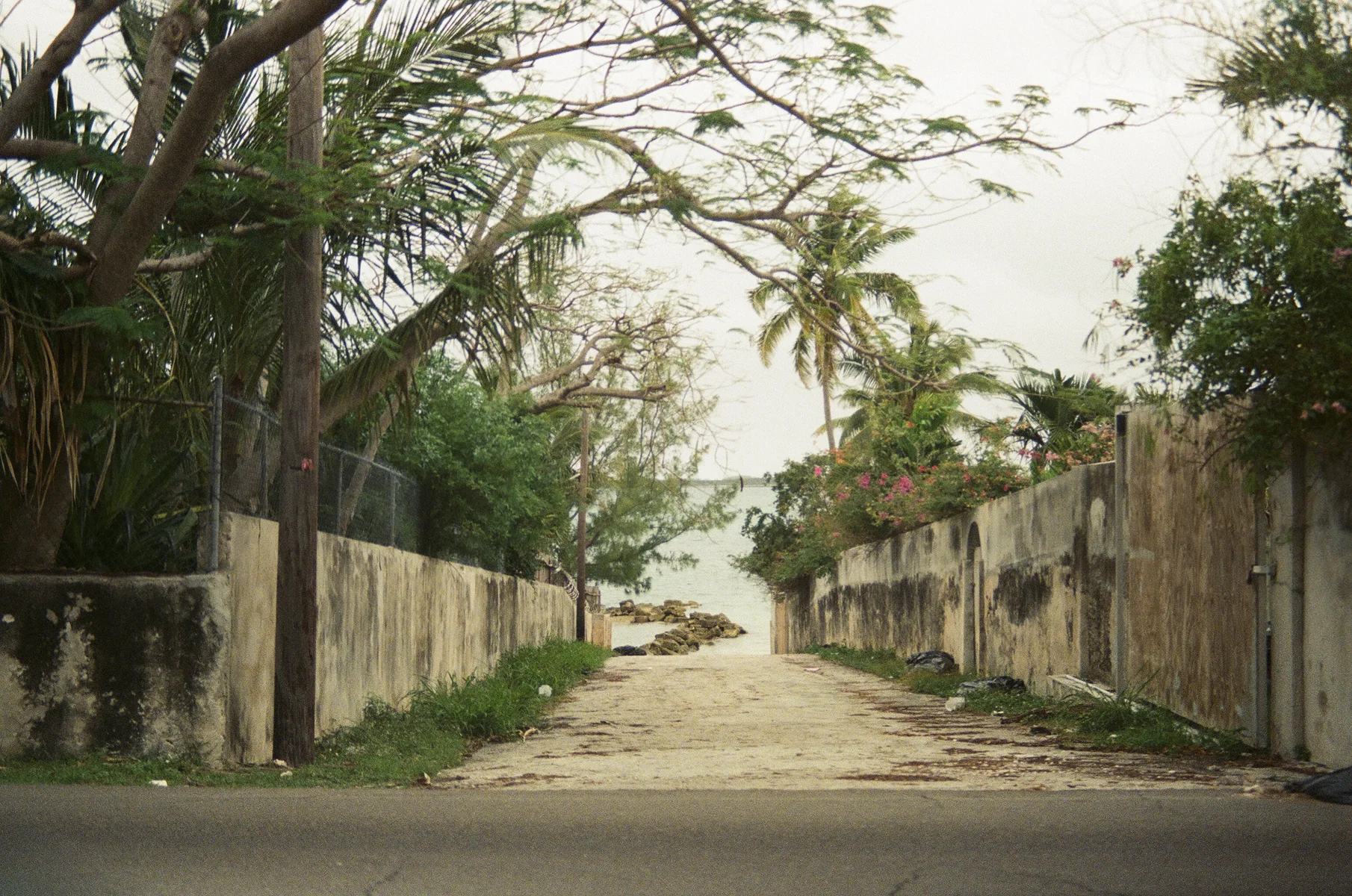 manifest-51.jpg