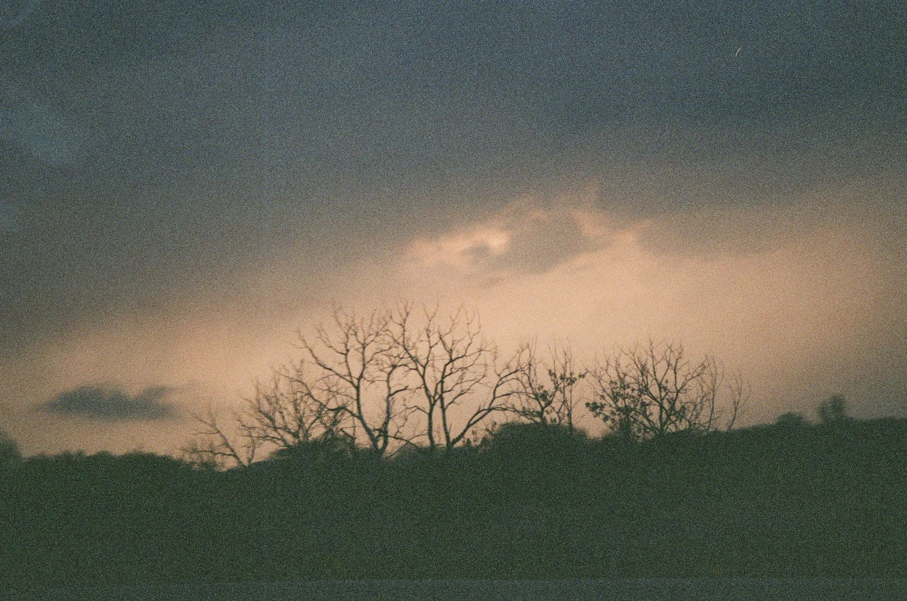 manifest-27.jpg