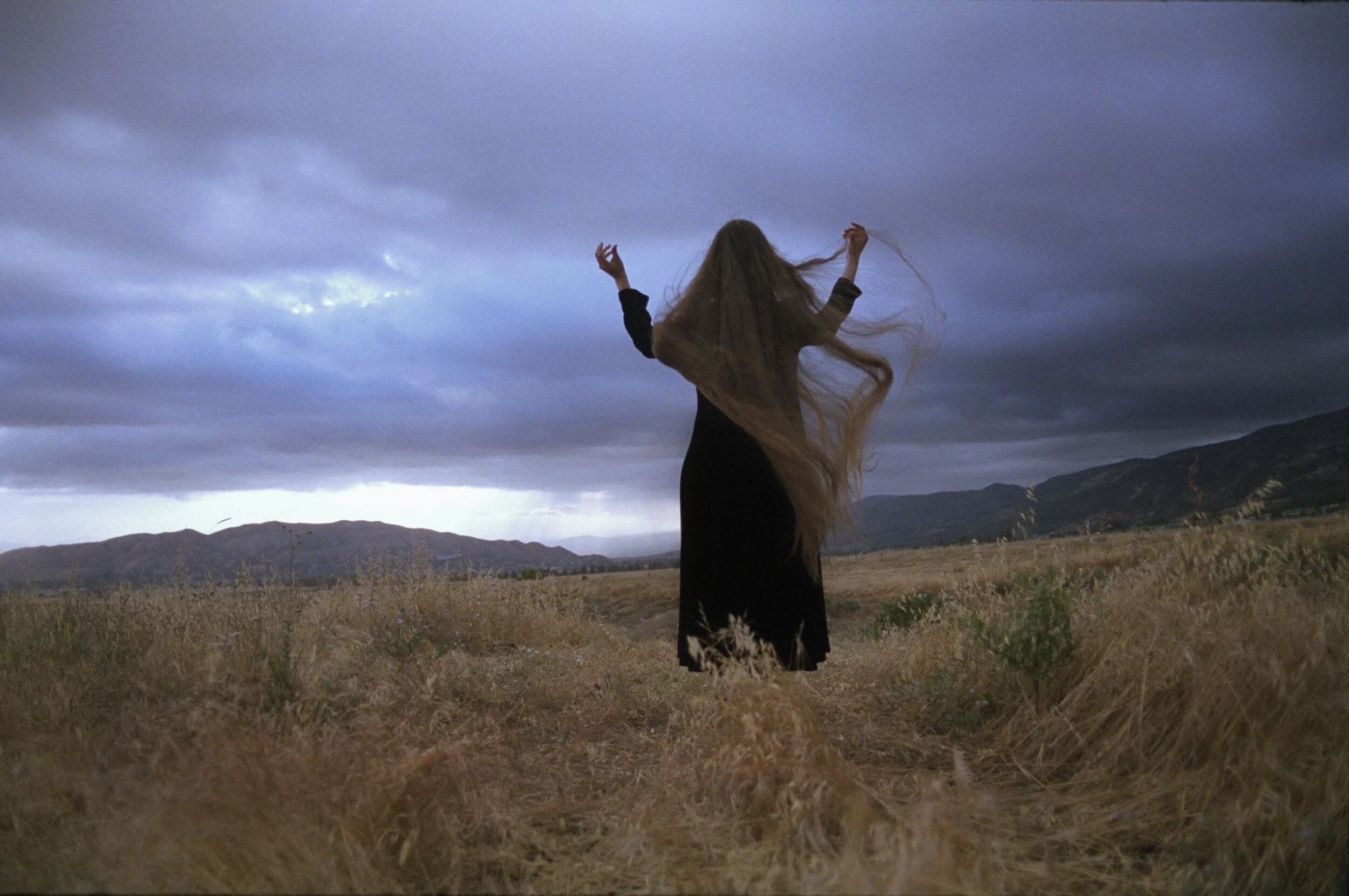 Bee in the wind desert.jpg