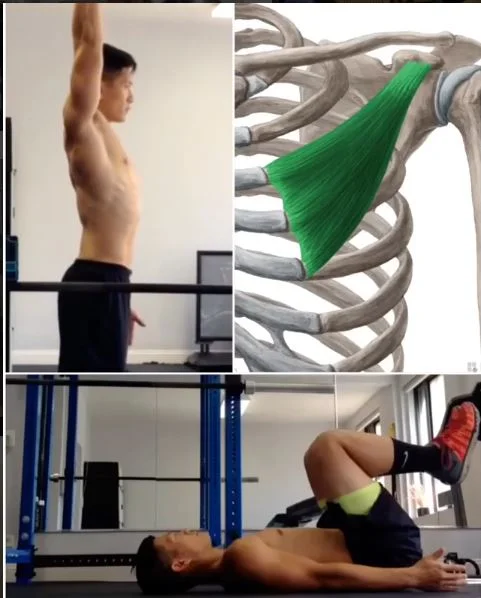 Limitations to Overhead Shoulder Range of Motion