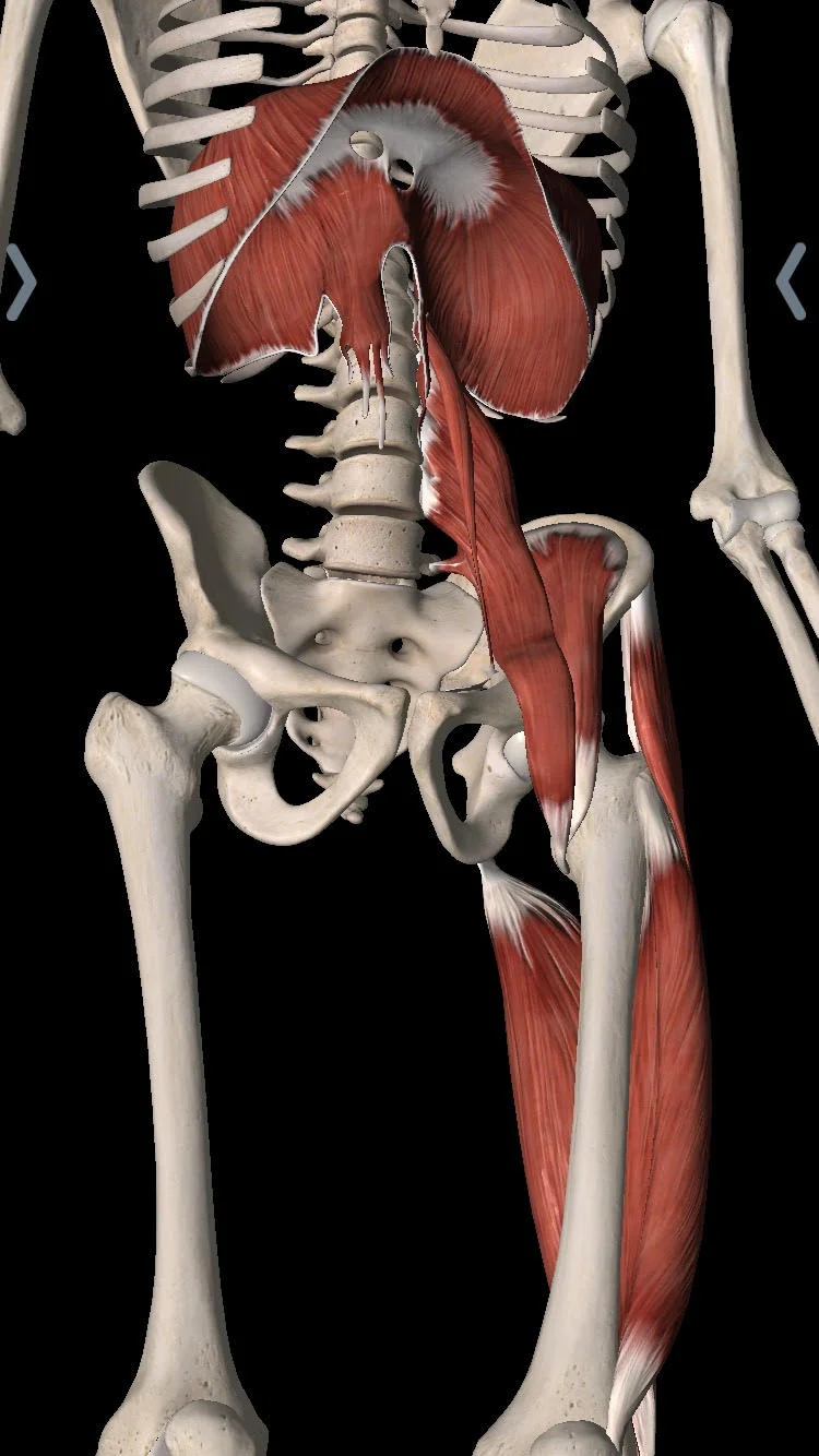 My Cognitive Dissonance with PRI