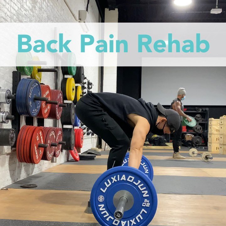 While the Jefferson Curl (not shown) can be an effective exercise for increasing tolerance to lumbar spine flexion, understandably it can be a fearful movement for some people and may not be for everyone. But if the goal is to safely load the lumbar 