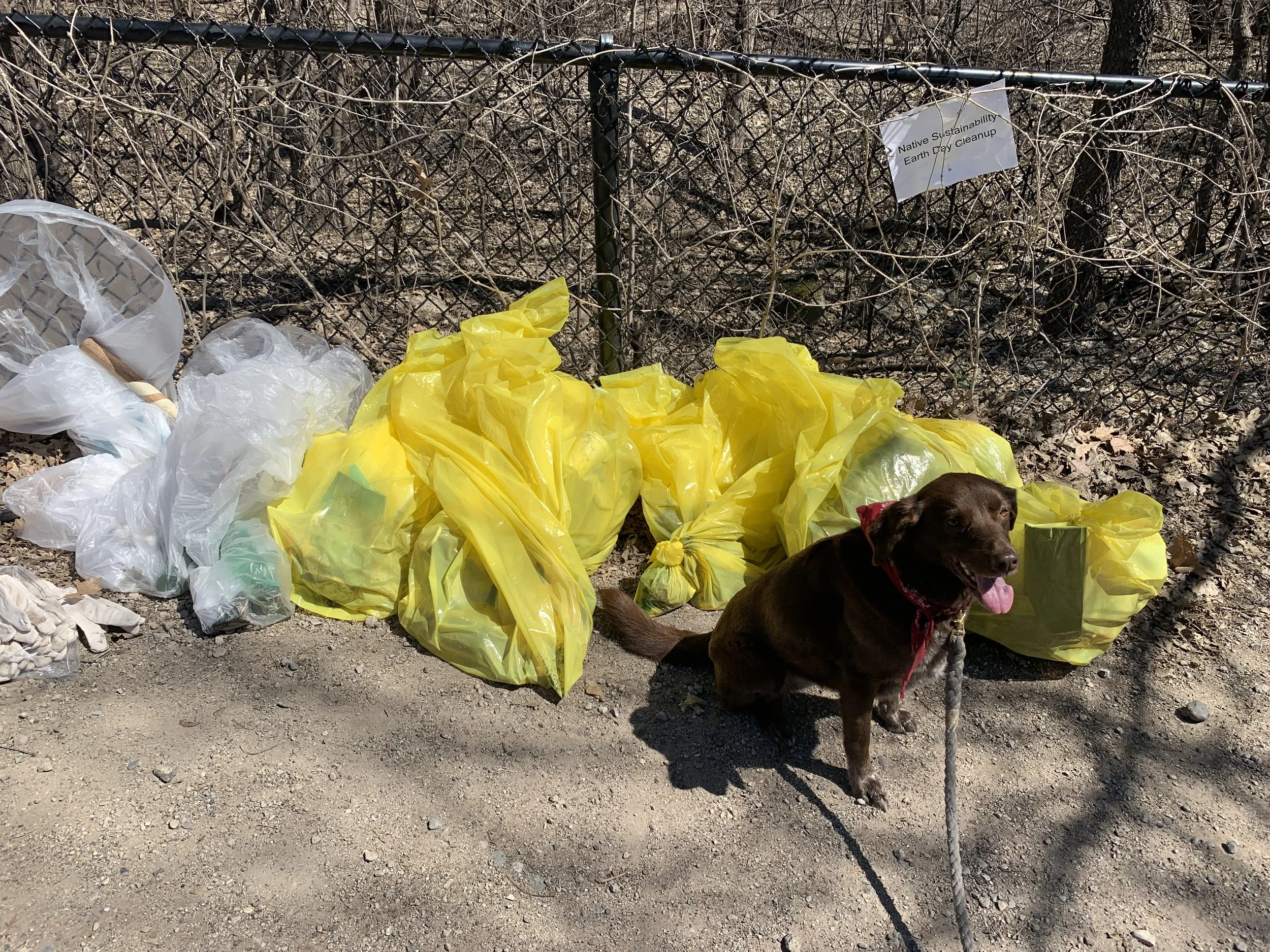 Edie with our trash haul