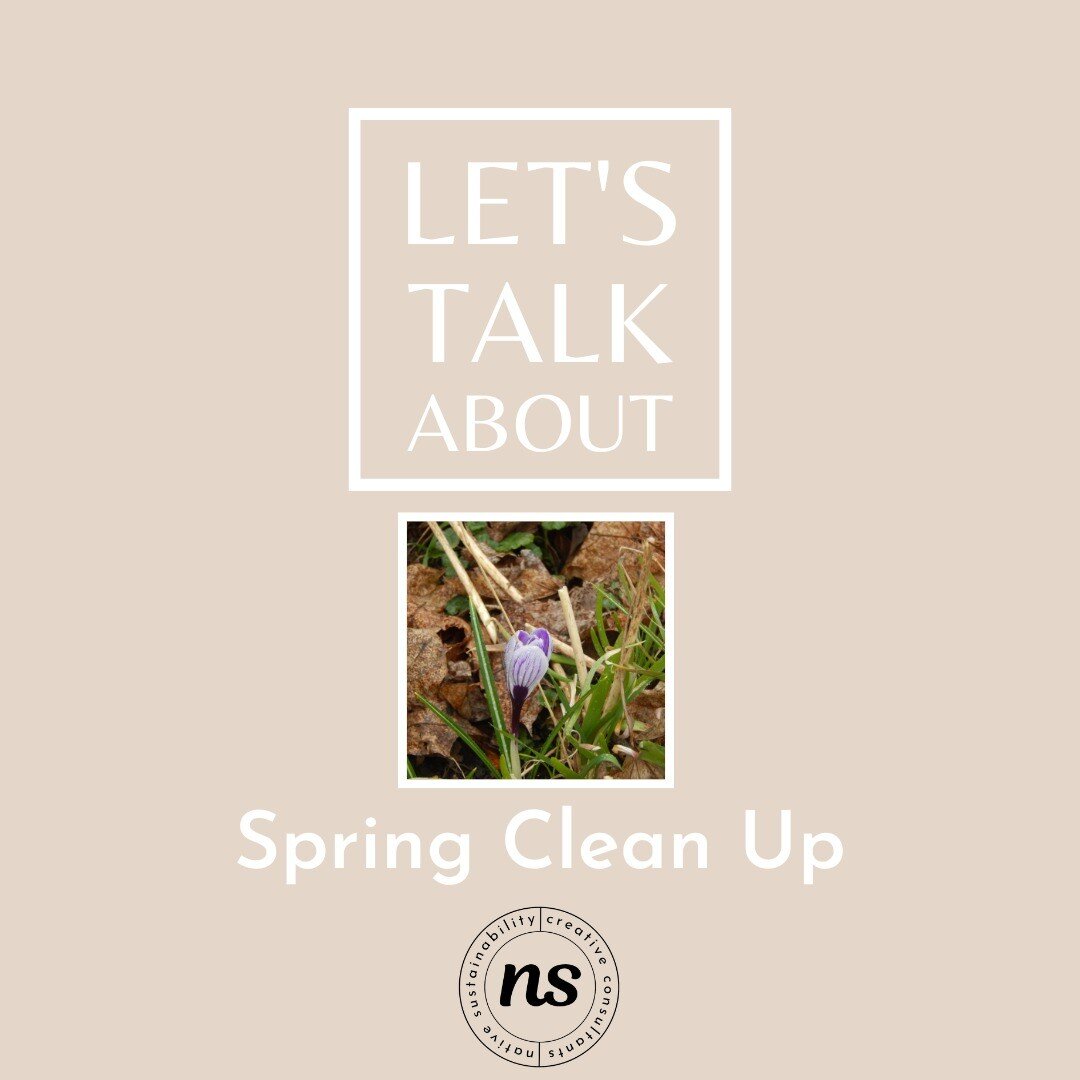 Let&rsquo;s Talk About : Spring Clean Up

Spring has sprung! Are you excited to get outside to clean up the garden? Us, too. BUT WAIT!
Did you know that pollinators need your yard waste? 

Hibernating insects and pollinators don&rsquo;t wake up until