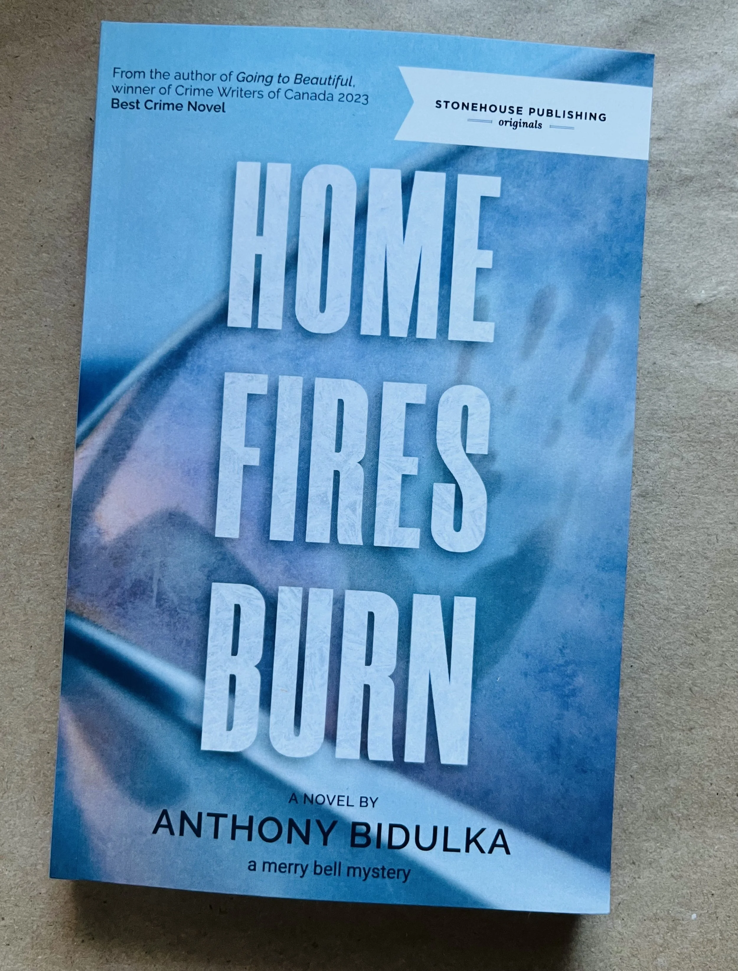 Home Fires Burn book photo.jpg