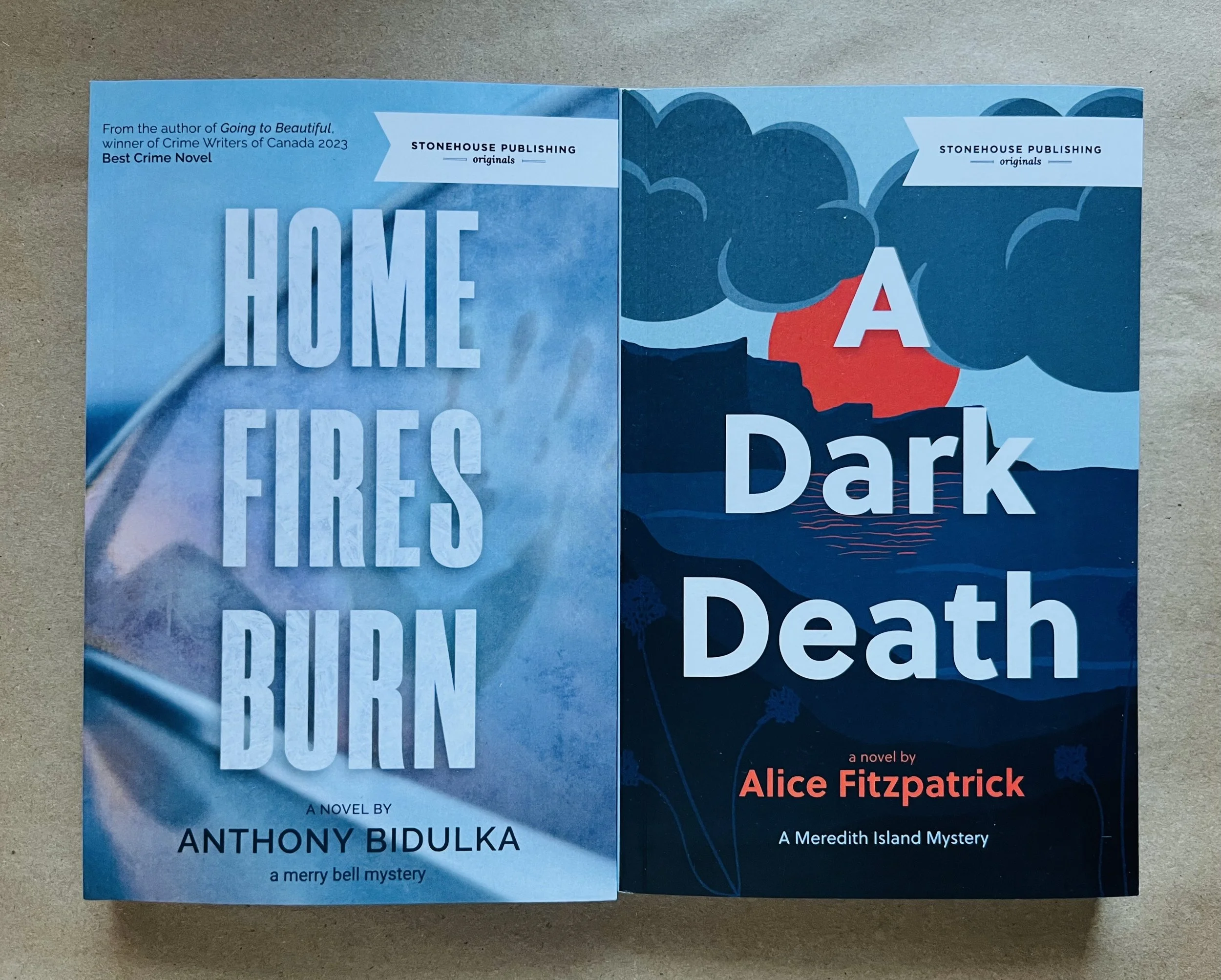 Both 2025 books together photo.jpg