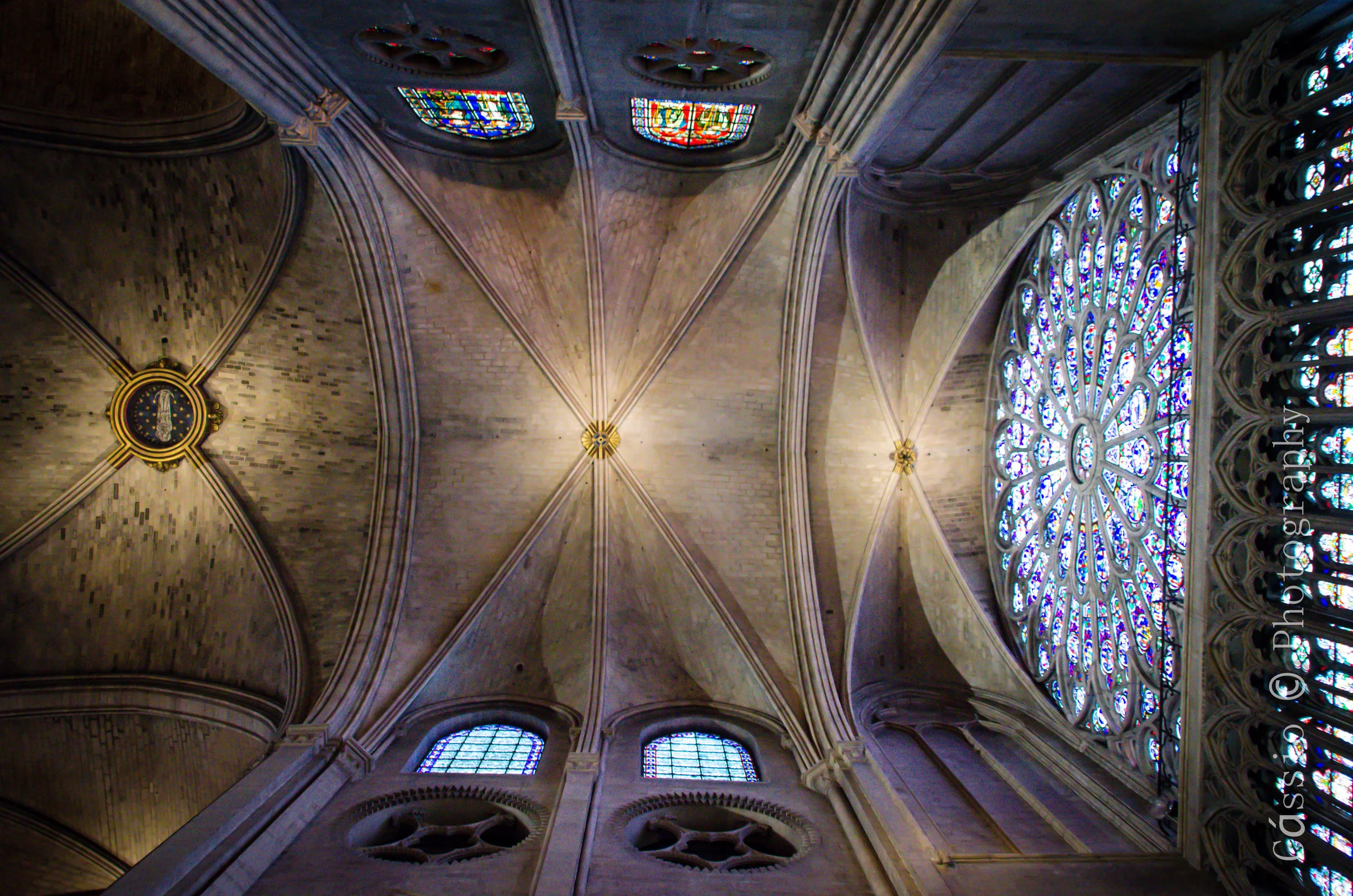 Notre Dame-45.jpg