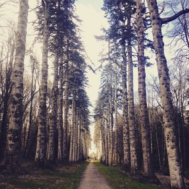 Wilderness Wonders at Woodstock