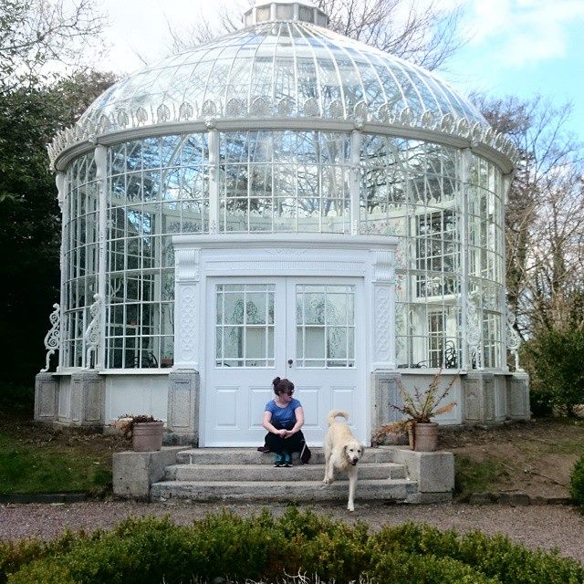 Tea Rooms, me and lovely random dog. Photo credit: Carl Hall