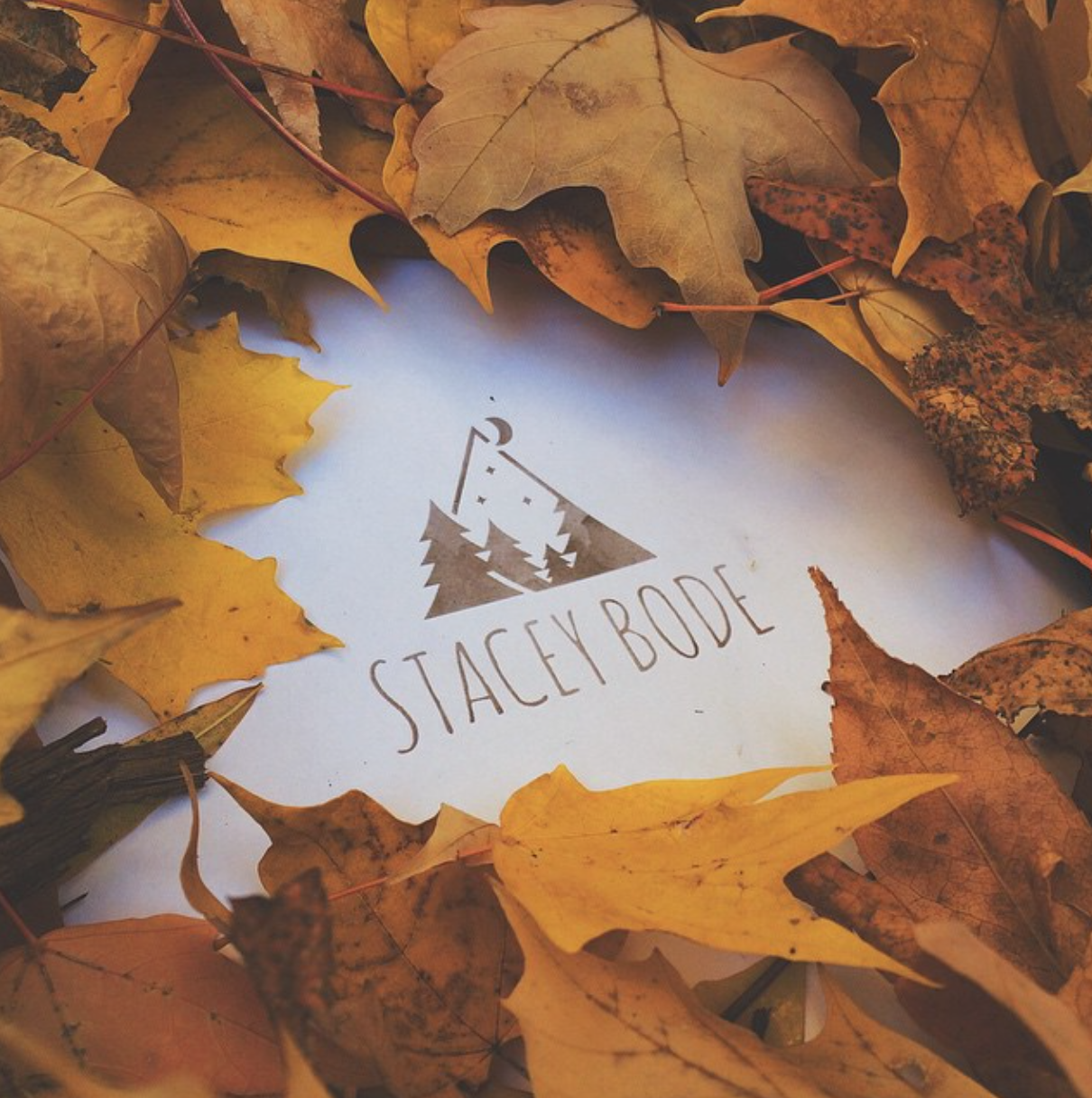 Stacey Bode Photography Logo