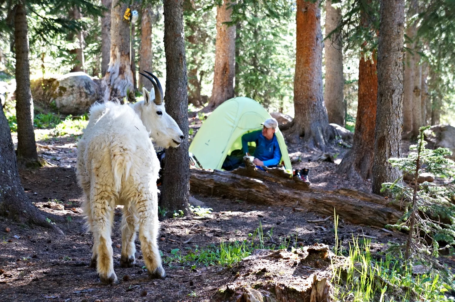 Sharing the mountains with friends is what it's all about.