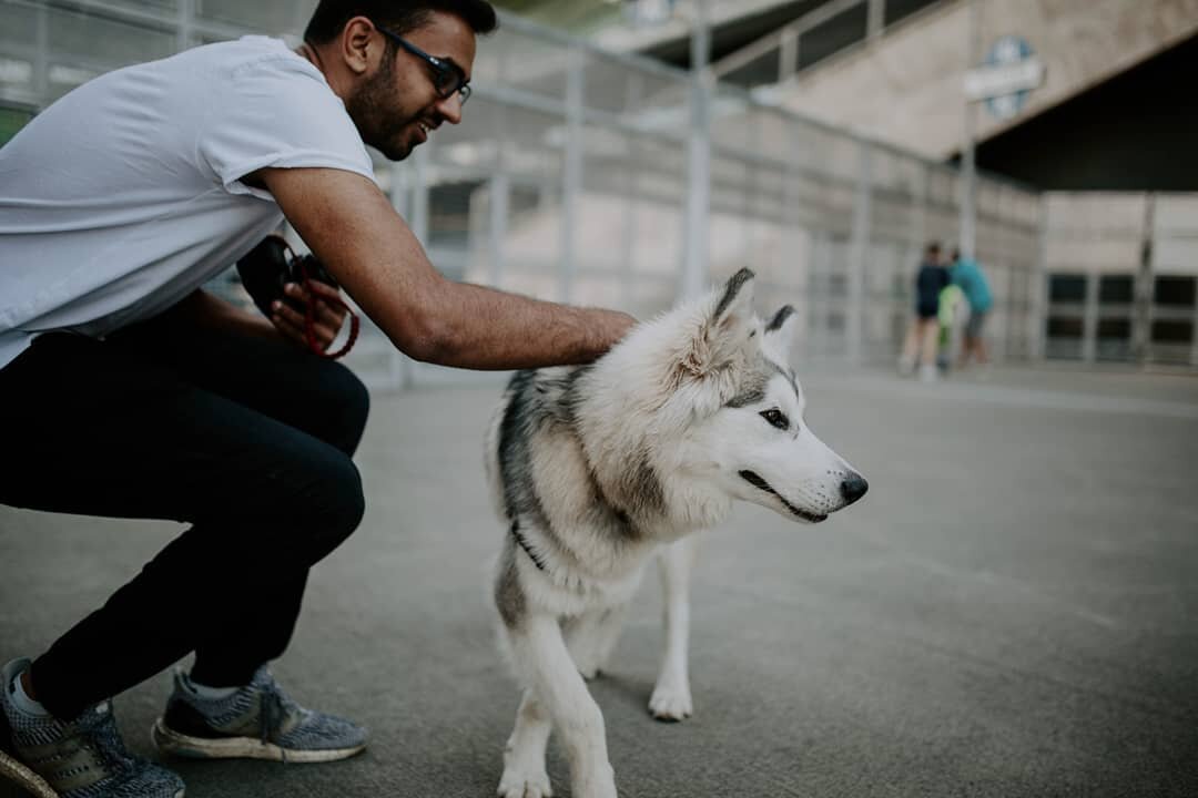 The most memorable part of Seattle. 📷@warisuh
.
.
.
.
.
#seattle #washington #dog #husky #Canon #CanonCanada #travel #vacation #centurylinkfield
