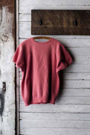 60s SHORT SLEEVE SWEATSHIRT — Velour
