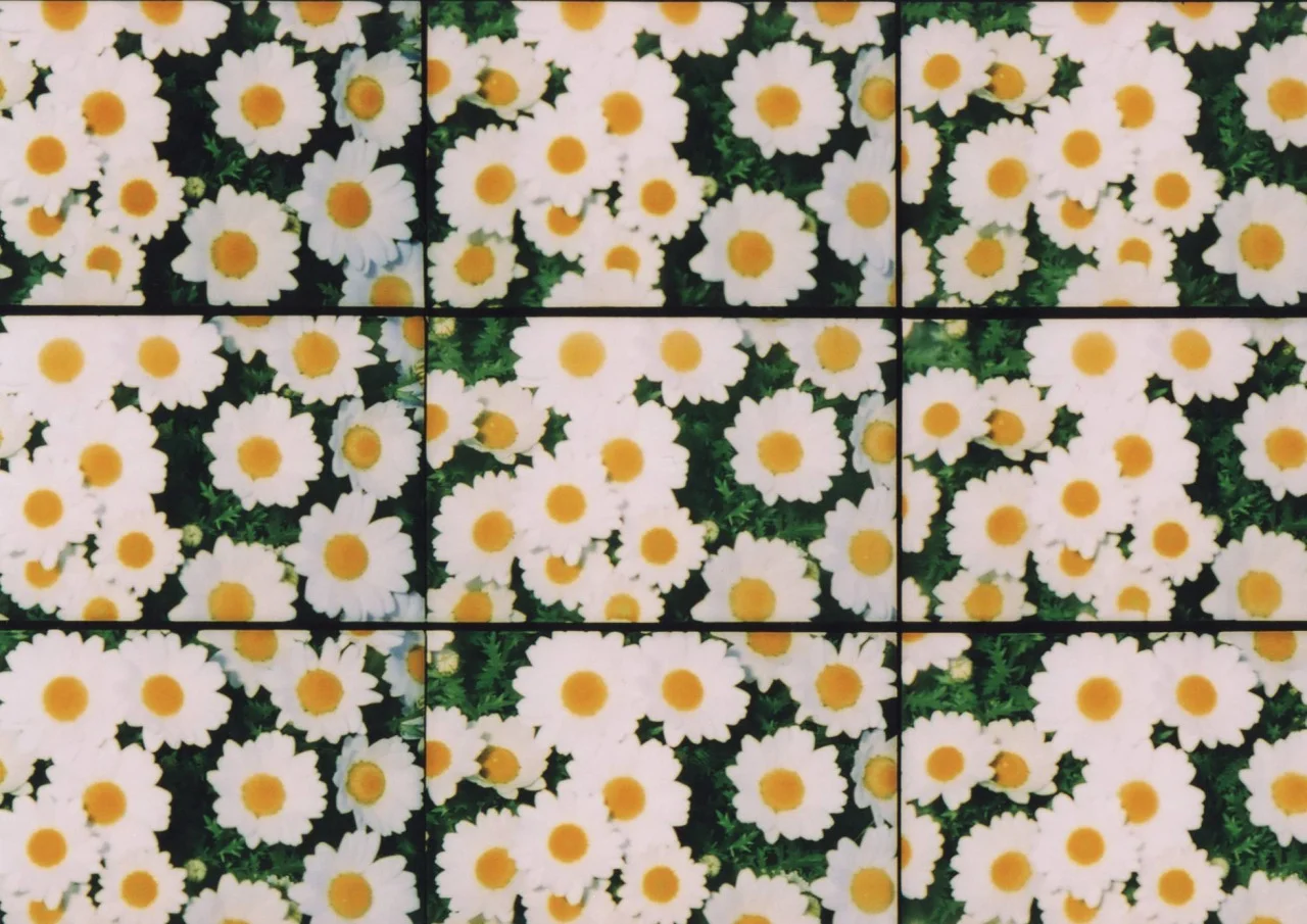 lomographicsociety :
Lomography Film of the Day - Fuji Superia 400