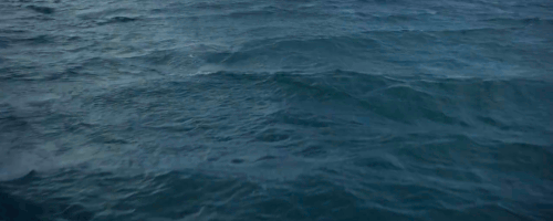 tumblr_ngaehcRVy41tnqkb2o4_r2_500.gif