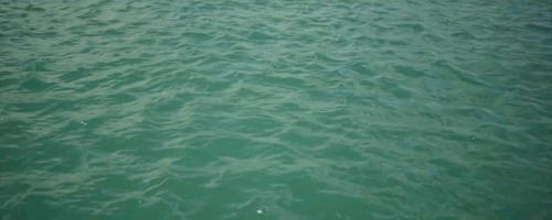 tumblr_ngaehcRVy41tnqkb2o5_r2_500.gif