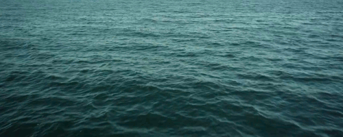 tumblr_ngaehcRVy41tnqkb2o2_r2_500.gif