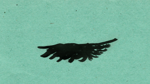 tumblr_n531tvYclc1qe2zdbo1_500.gif