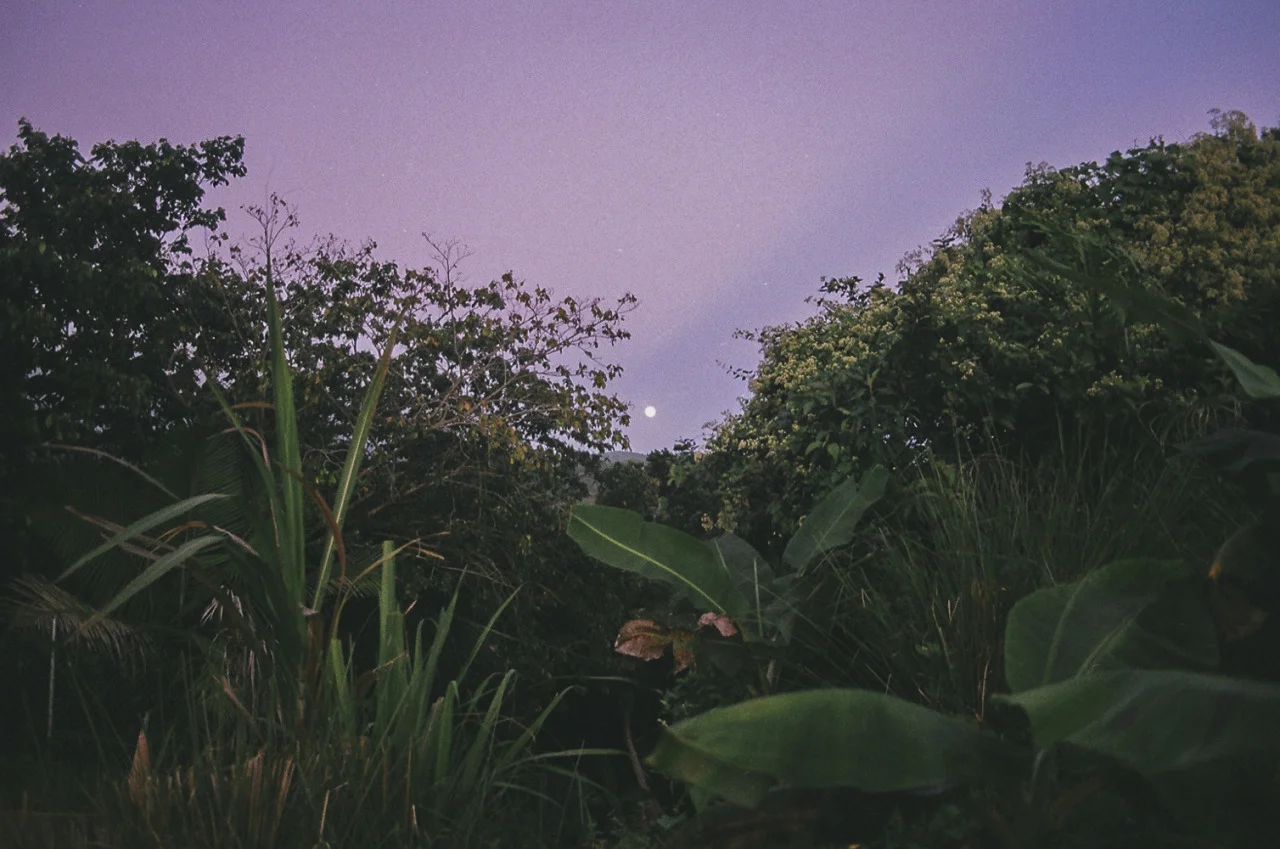 tumblr_ni56t2M8V01rd2k4to1_1280.jpg