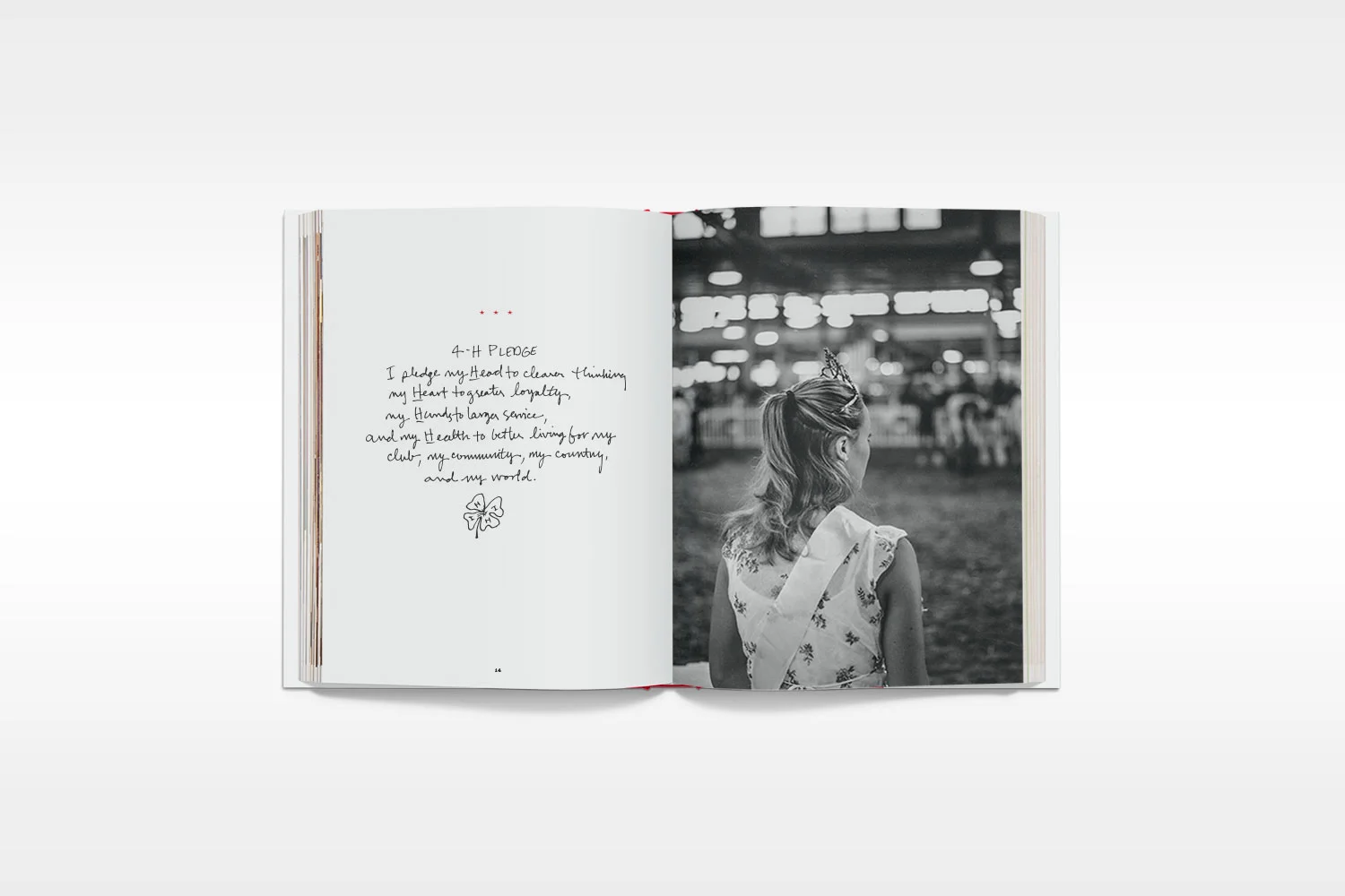 book-2.jpg