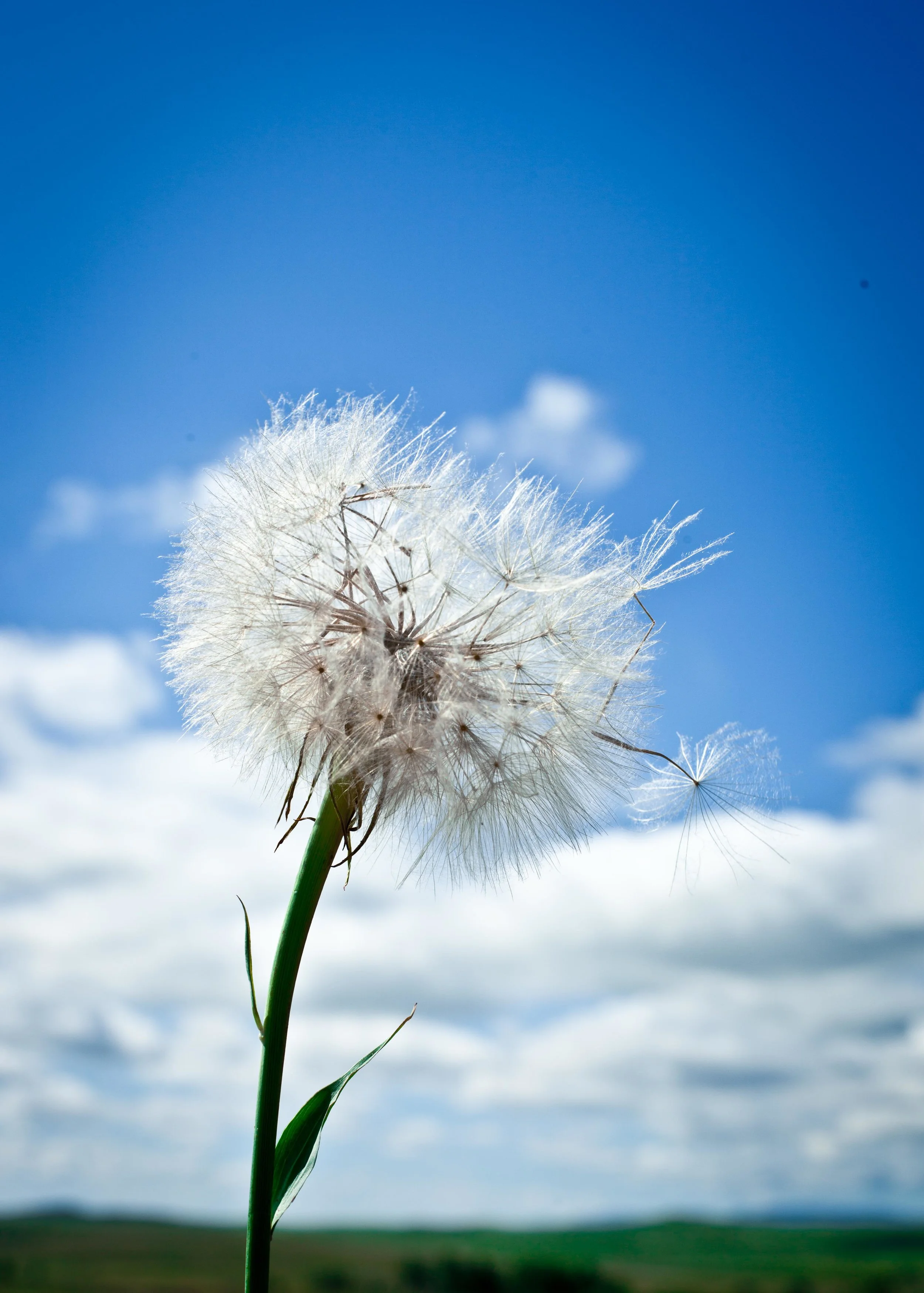 20100719_07_55_37.jpg