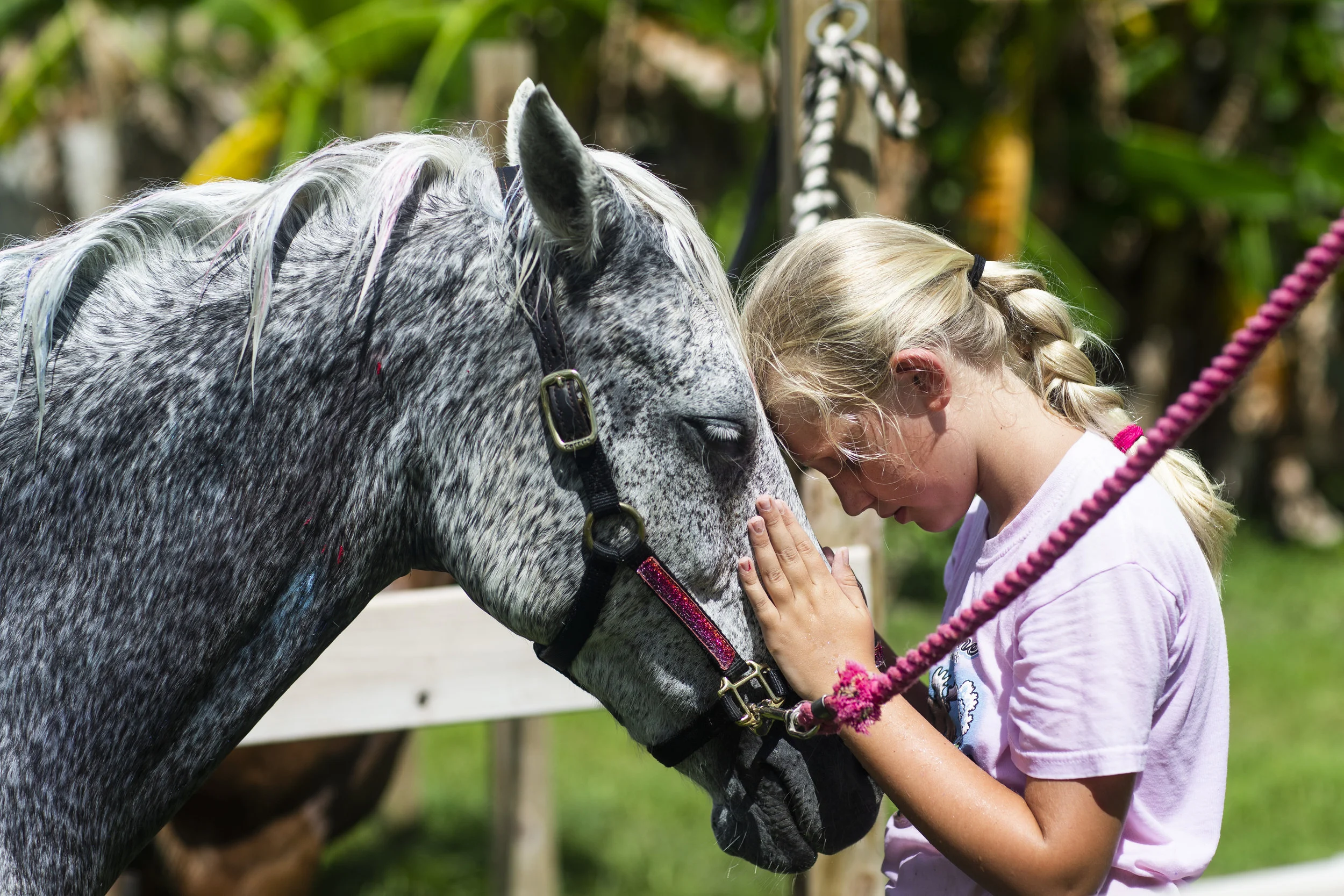  Lily Nagel, 9, shares a moment with Penny the pony during a summer equestrian session at Cornerstone Farm South in Naples on Friday June 15, 2018. 