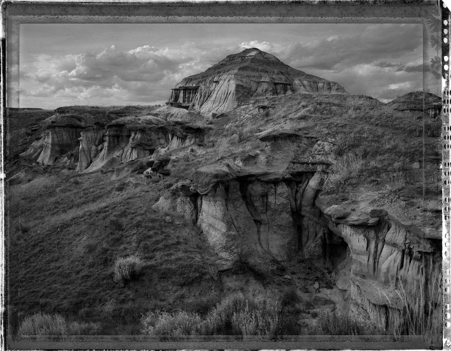 Dinosaur Provincial Park