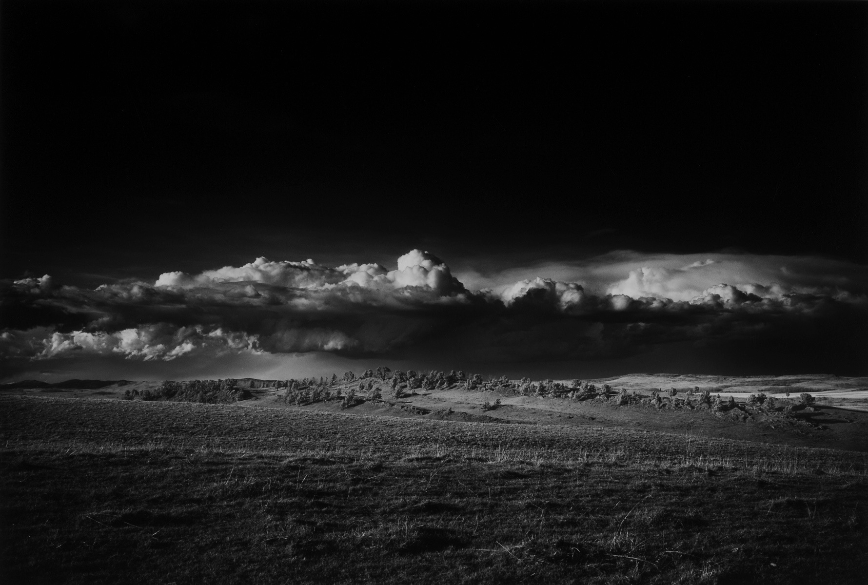 Sibbald creek flats, AB