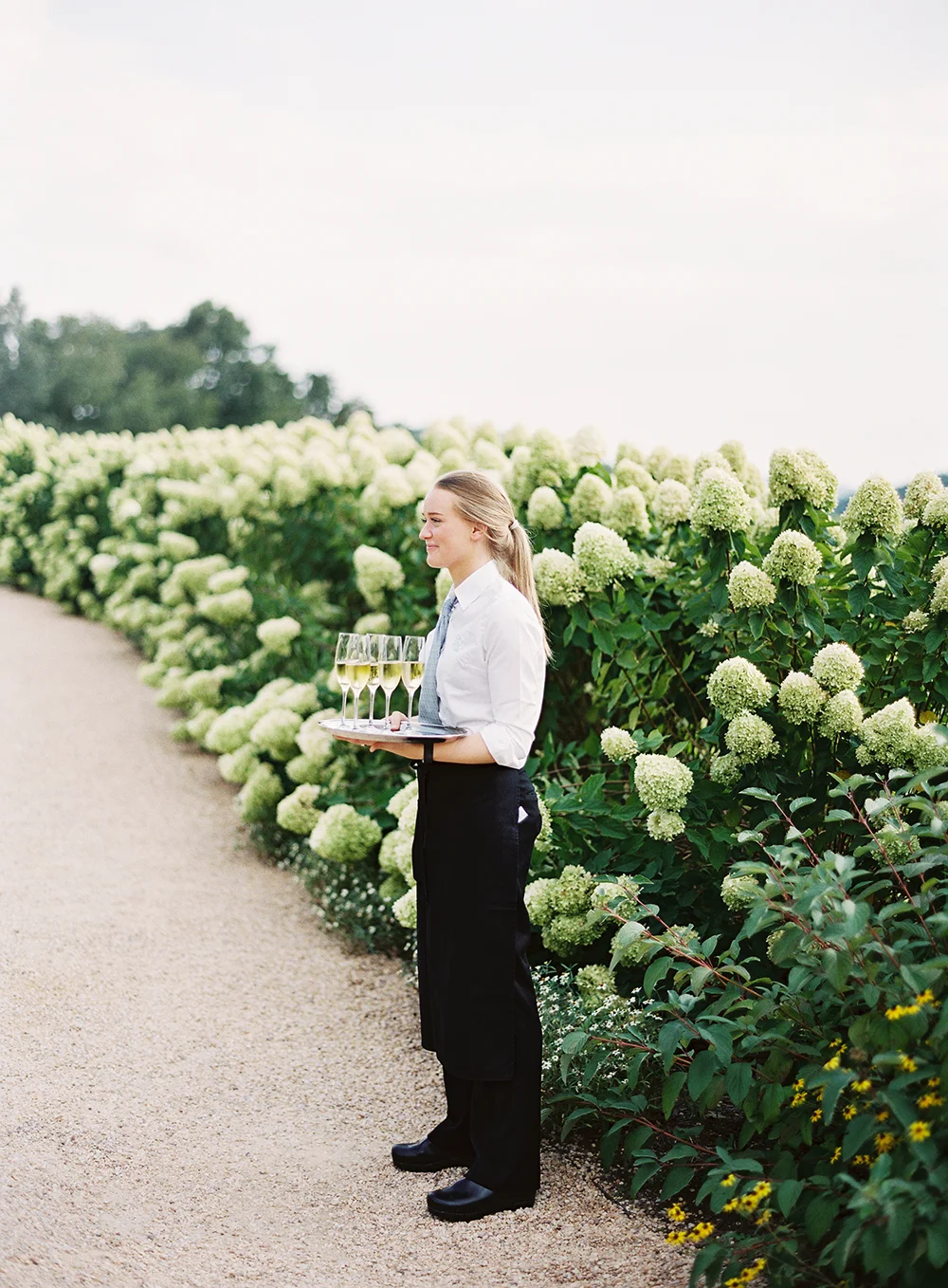 wedding at pippin hill farm and vineyards0010.jpg