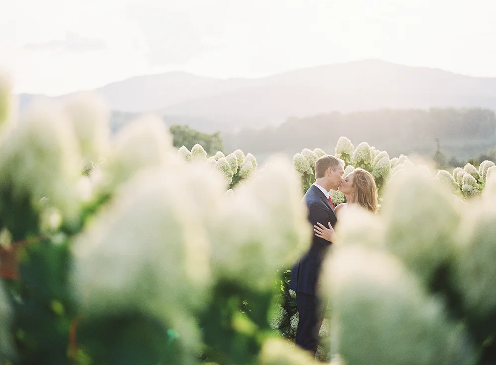 wedding at pippin hill farm and vineyards0025.jpg
