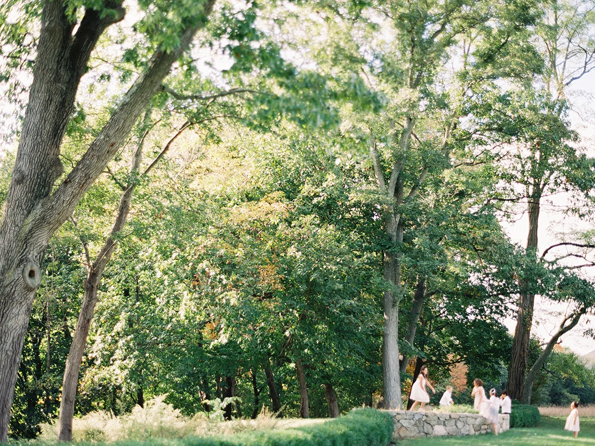 14835_16.jpg