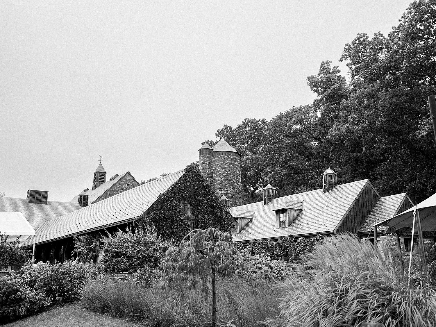 LC008.jpg