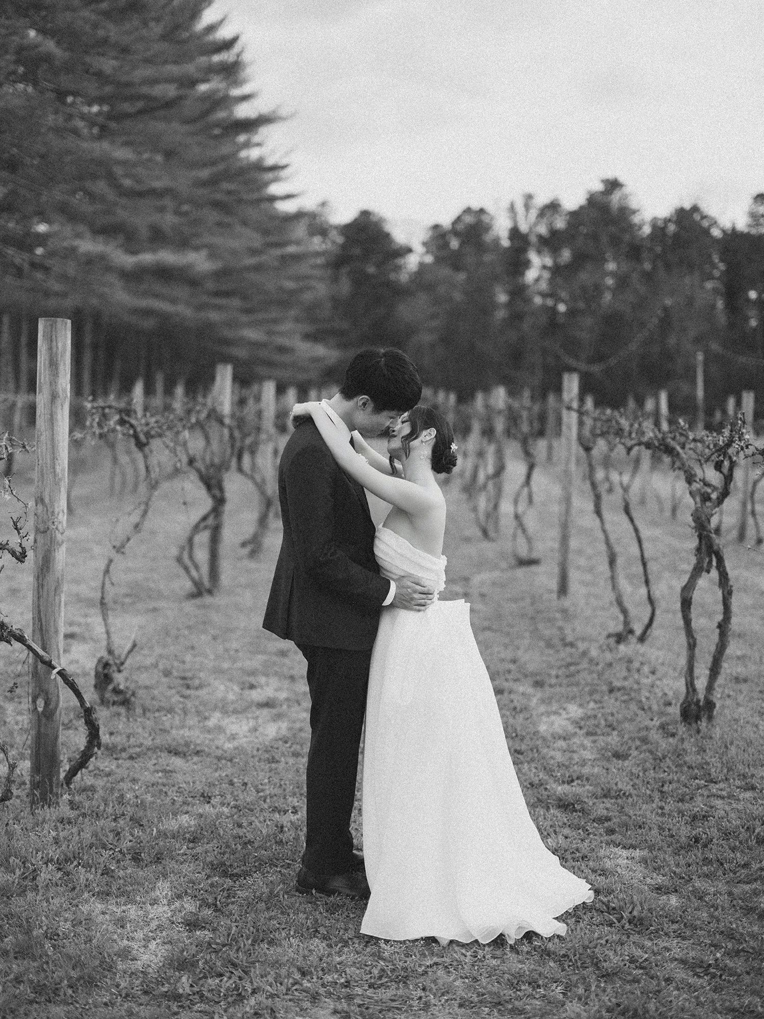 Couple portrait for wedding at Renault Winery by Haseok Chung Studio