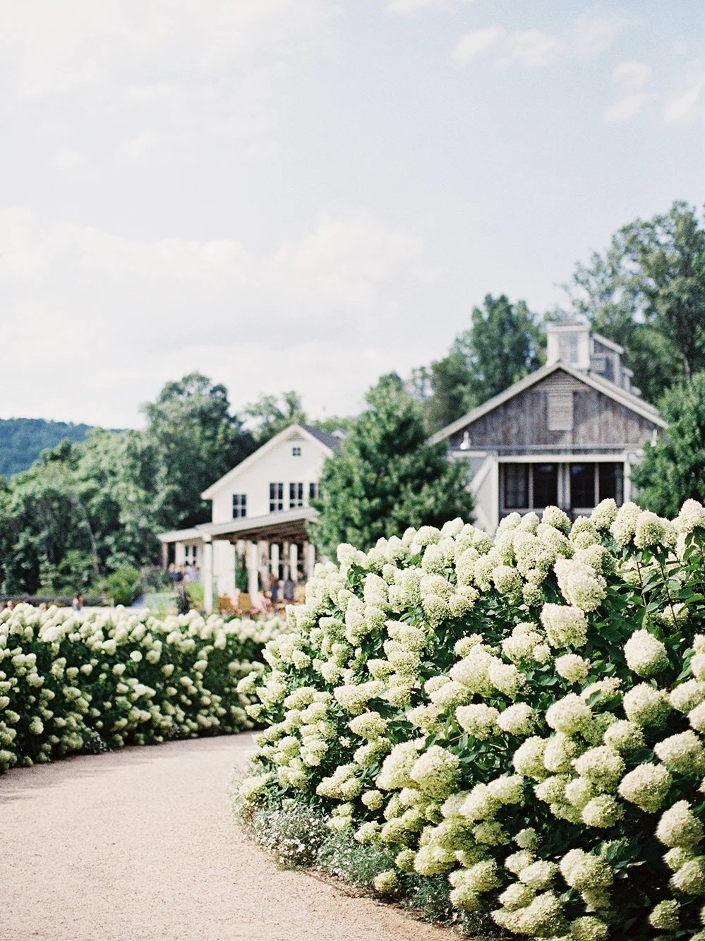 wedding+at+pippin+hill+farm+and+vineyards0004.jpg