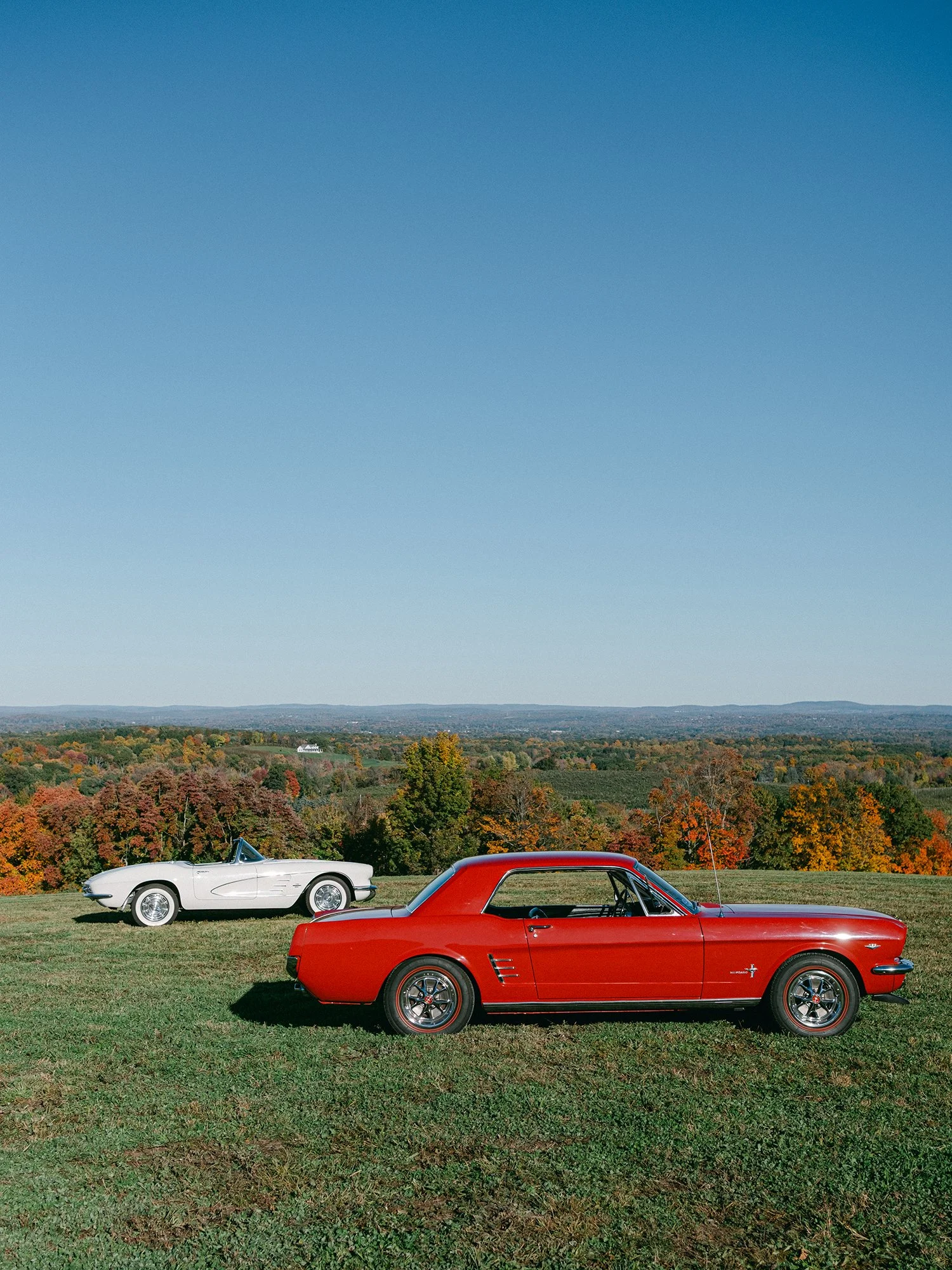 Daniel and Sandra beside a white 1960s Corvette convertible and Ford Mustang on a hill above the Hudson Valley