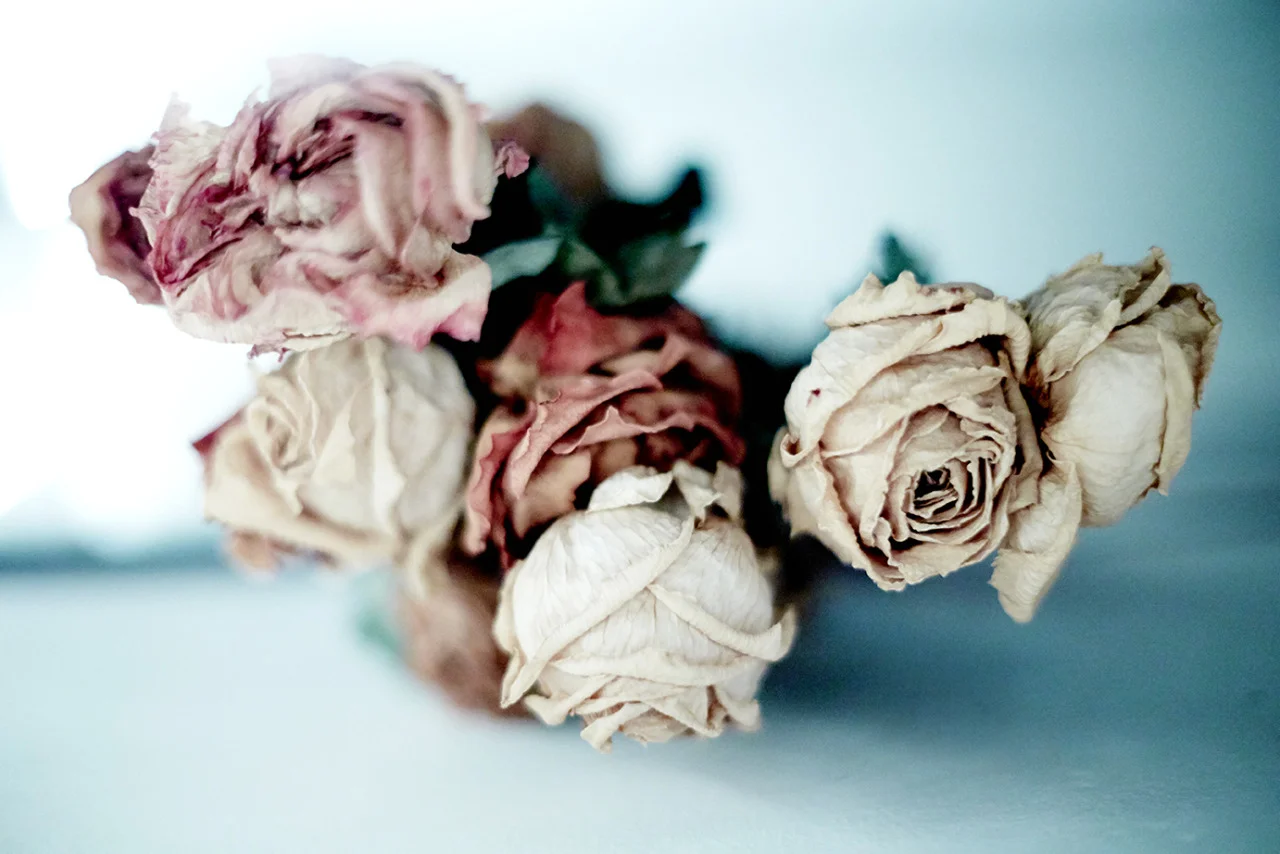tumblr_nehca4h3QM1s7cd78o1_1280.jpg