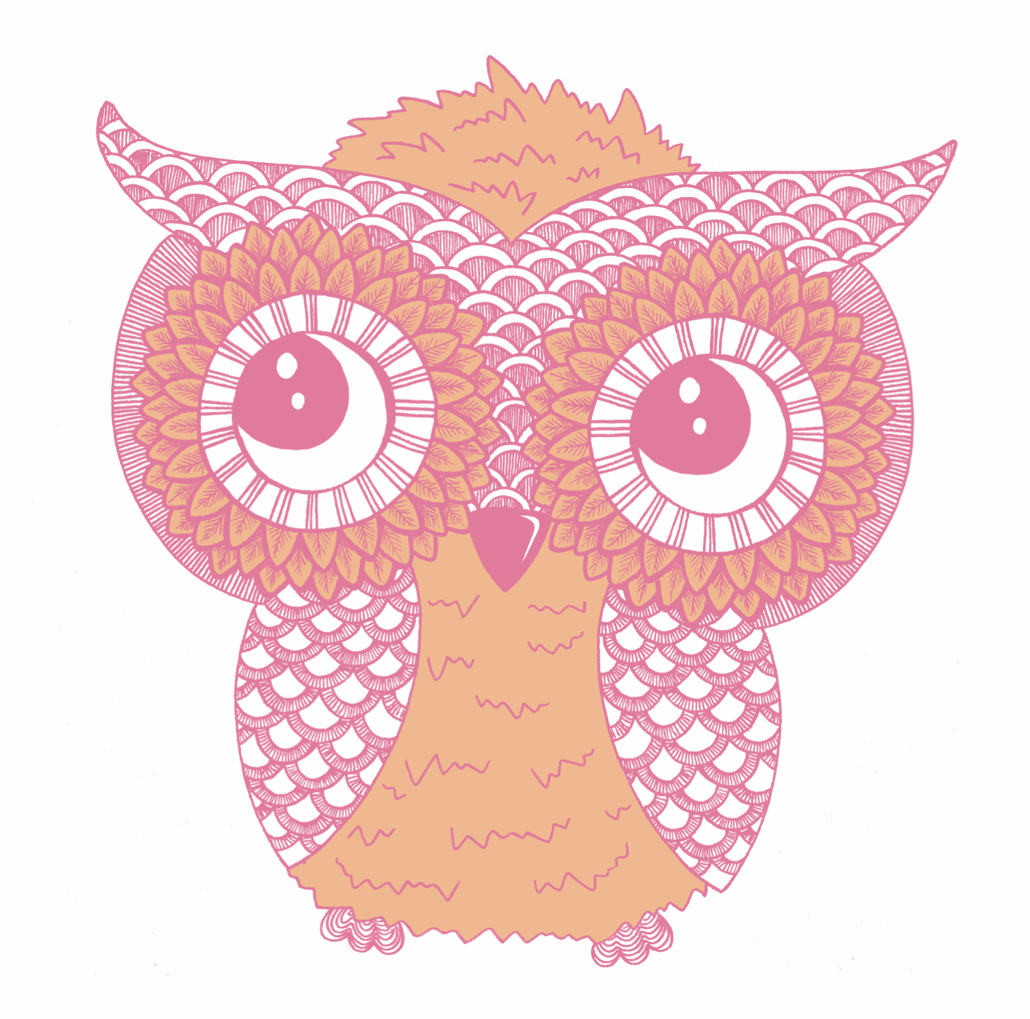 Owl.png