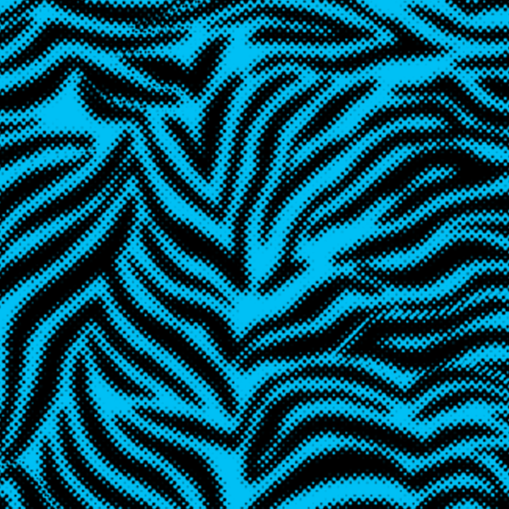 Zebra_Print.png