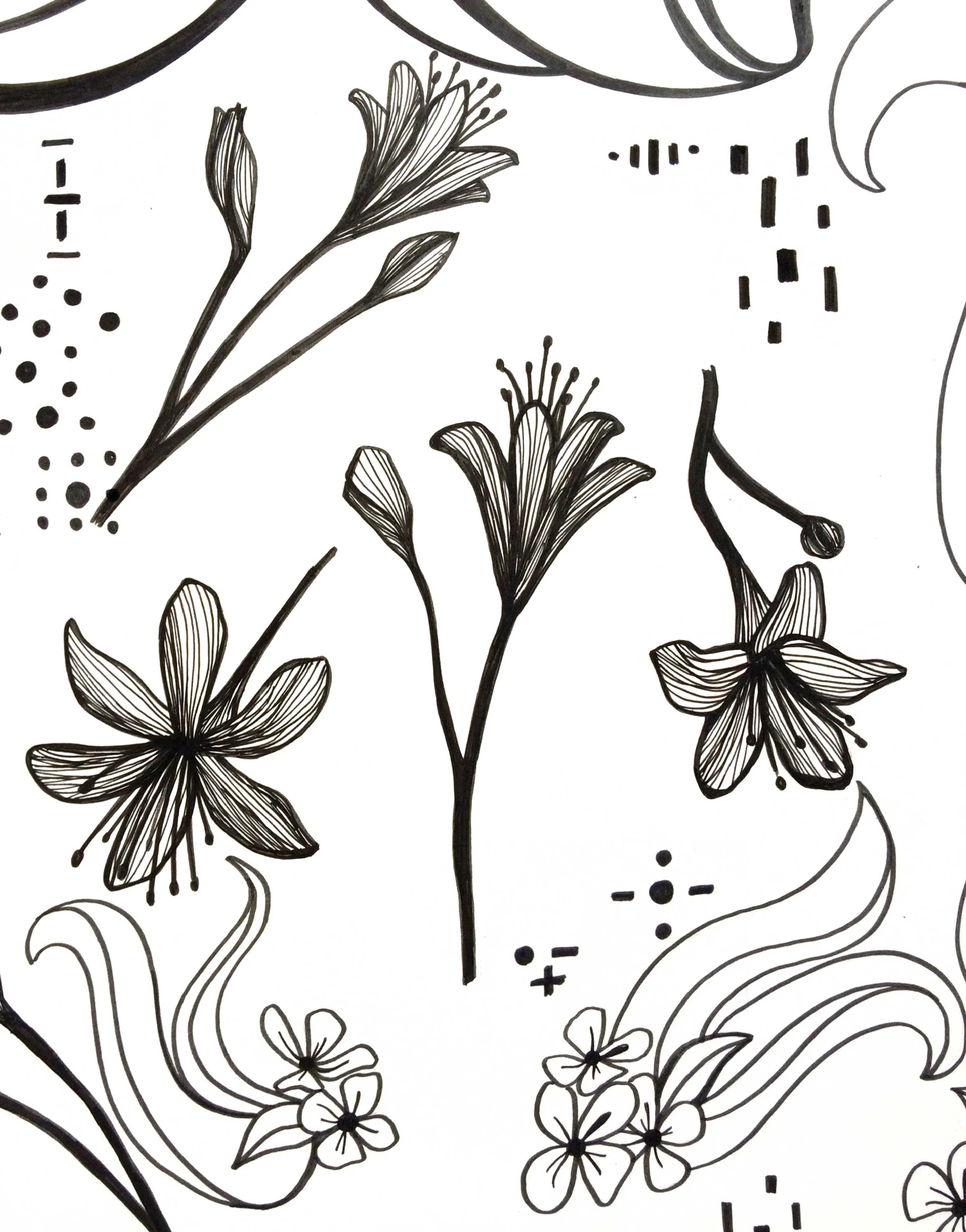 Black and white floral doodles