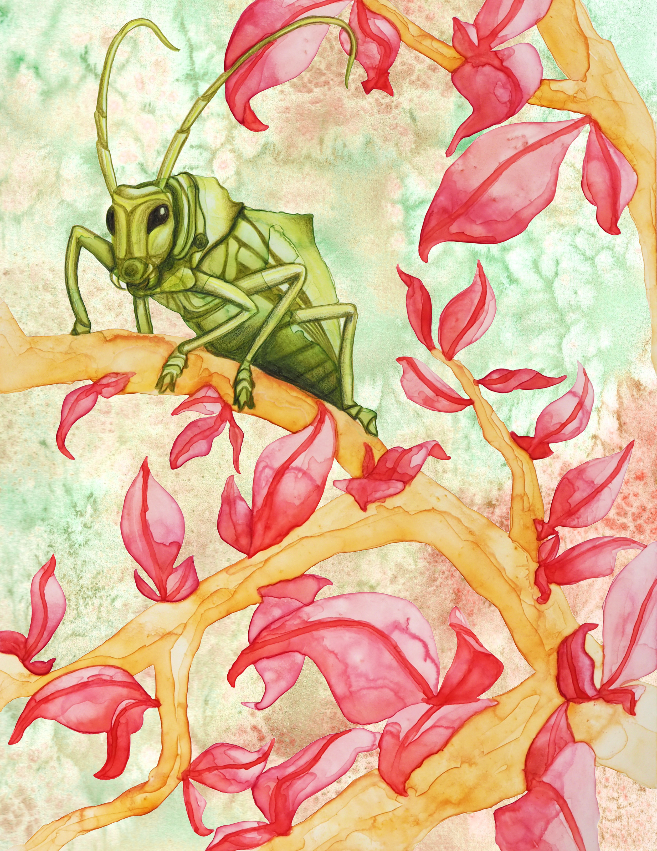 Illustration of a green insect with long antennae on a branch with pink leaves