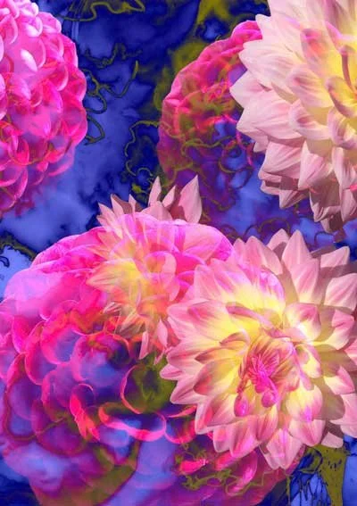 Abstract collage of vibrant pink and yellow dahlias with a dark blue and green background.