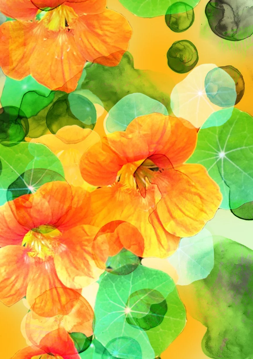 Abstract floral pattern with orange nasturtium flowers and green leaves.