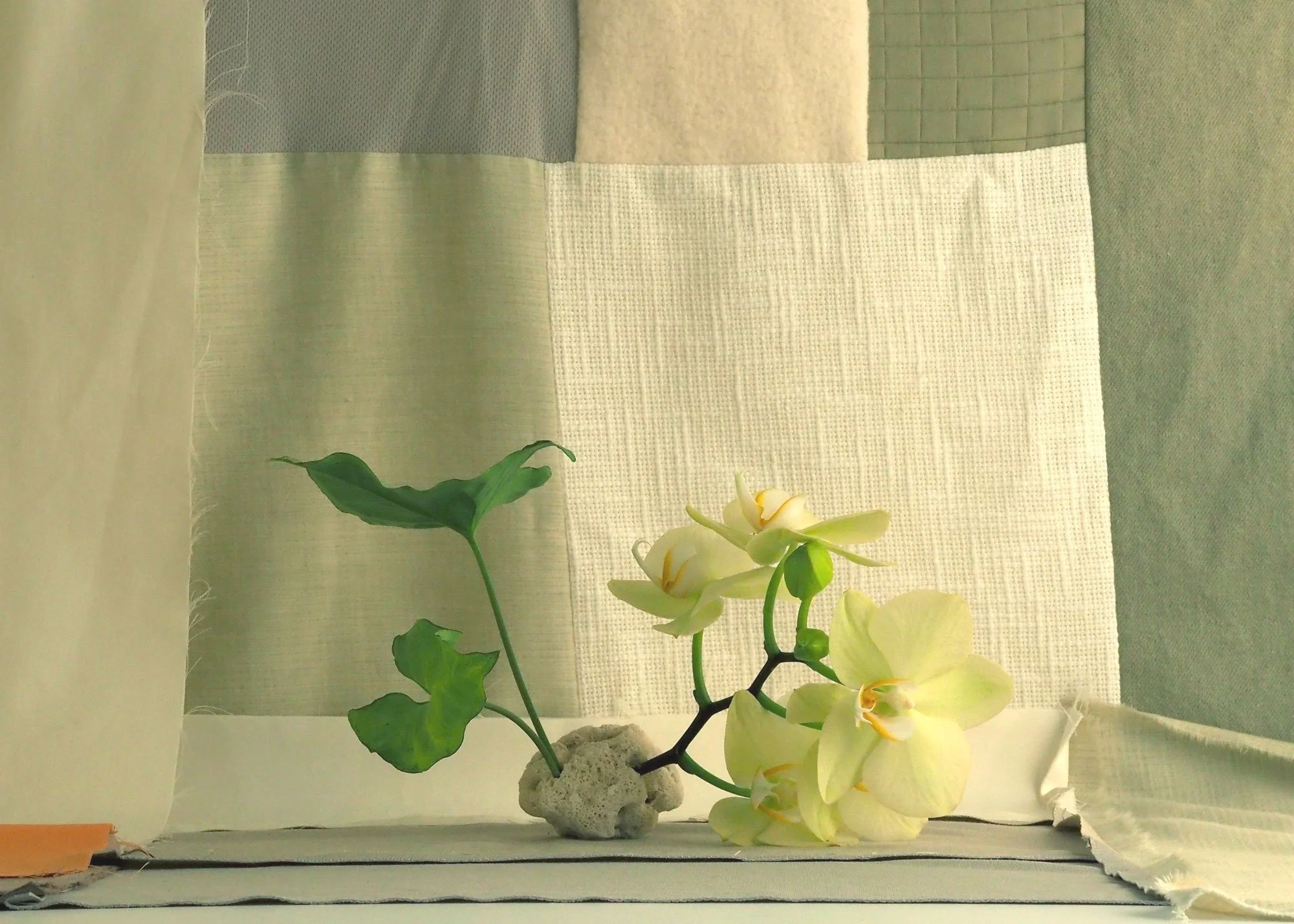 A still life composition featuring a single green leaf plant and light yellow orchids arranged with stones, set against a backdrop of neutral-colored textured fabrics.