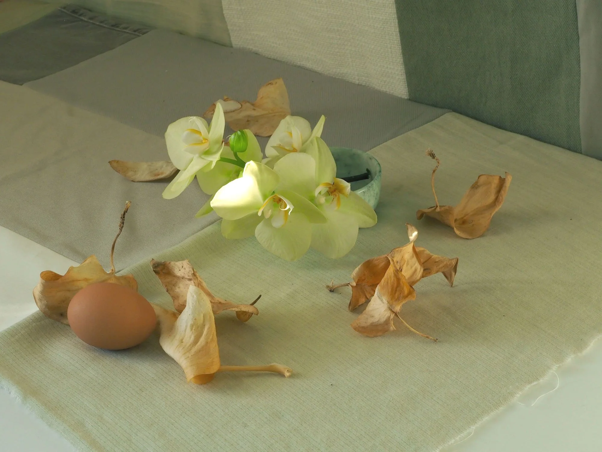 Still life arrangement with a brown egg, white orchid flowers, dried leaves, and a small ceramic bowl on a textured fabric surface.