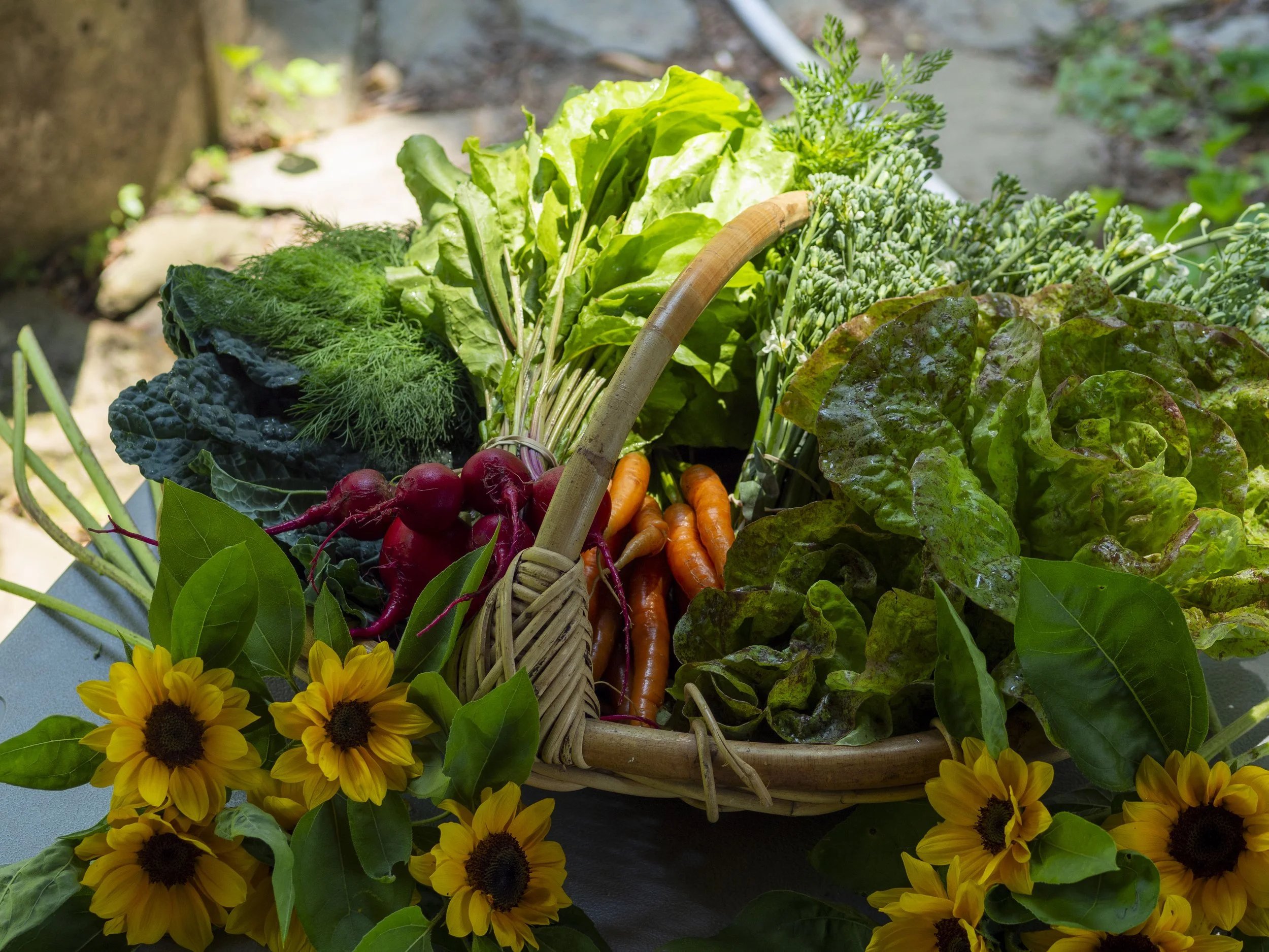 Basket with fresh vegetables including carrots, lettuce, radishes, kale, and herbs, surrounded by yellow sunflowers.