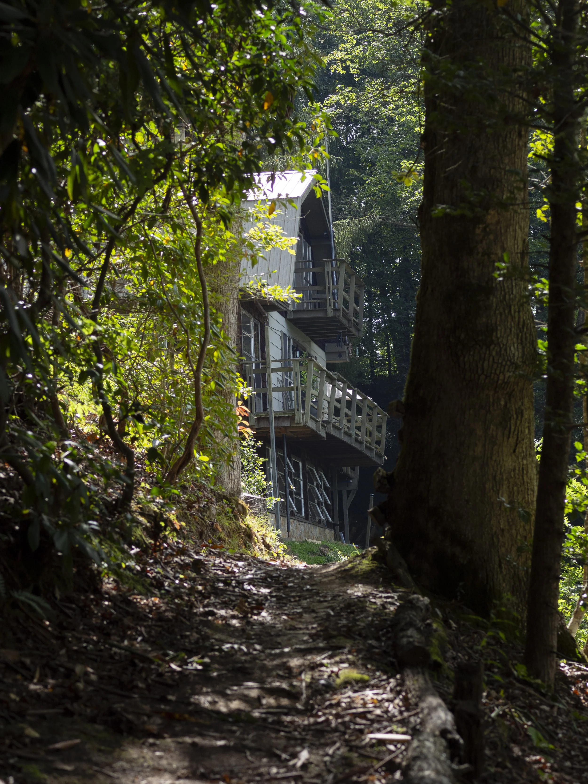 Wooden house on elevated stilts surrounded by dense forest