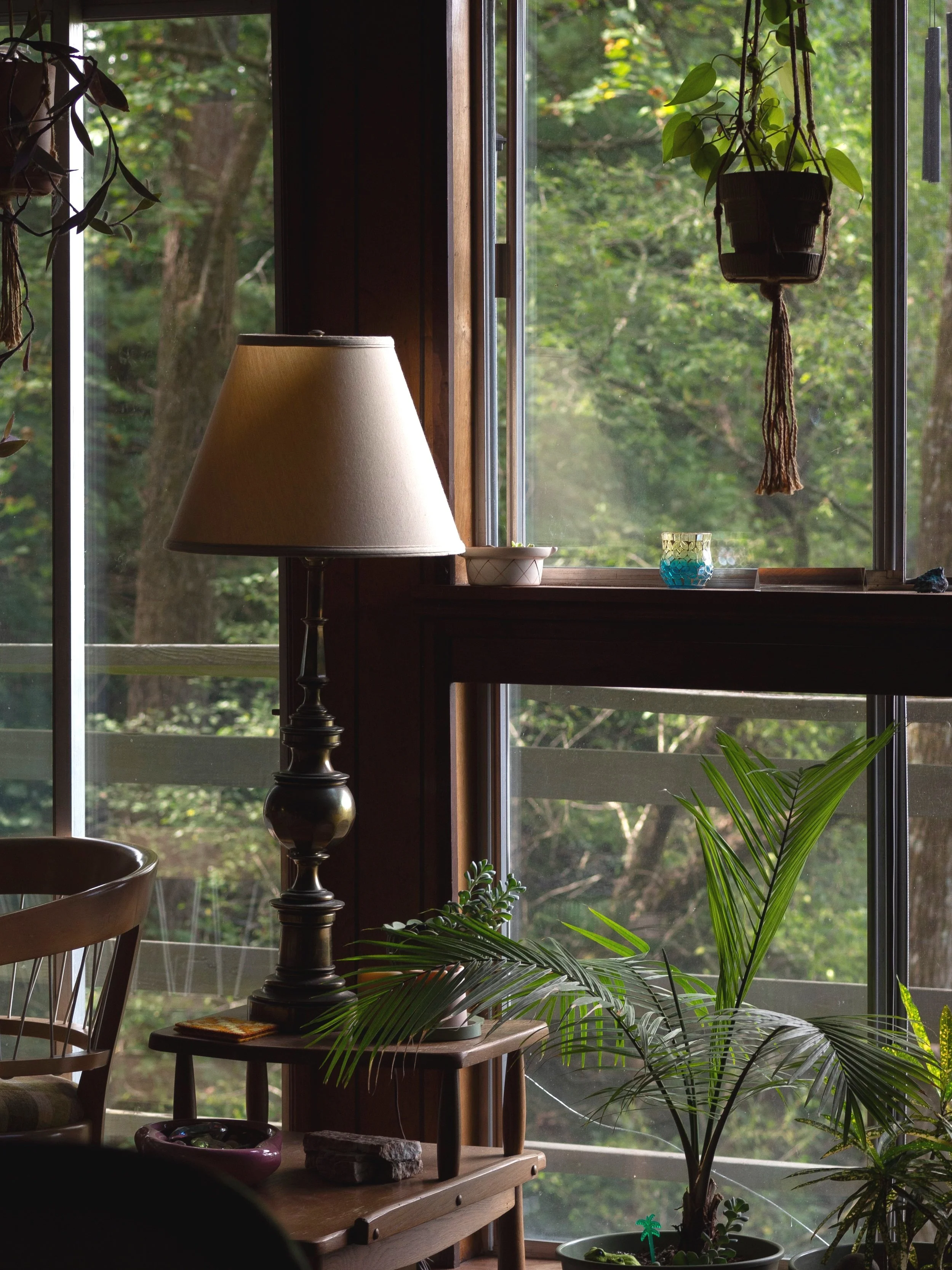 Cozy indoor corner with a tall lamp and wooden furniture, featuring potted plants, a hanging plant, and bright greenery outside the window.