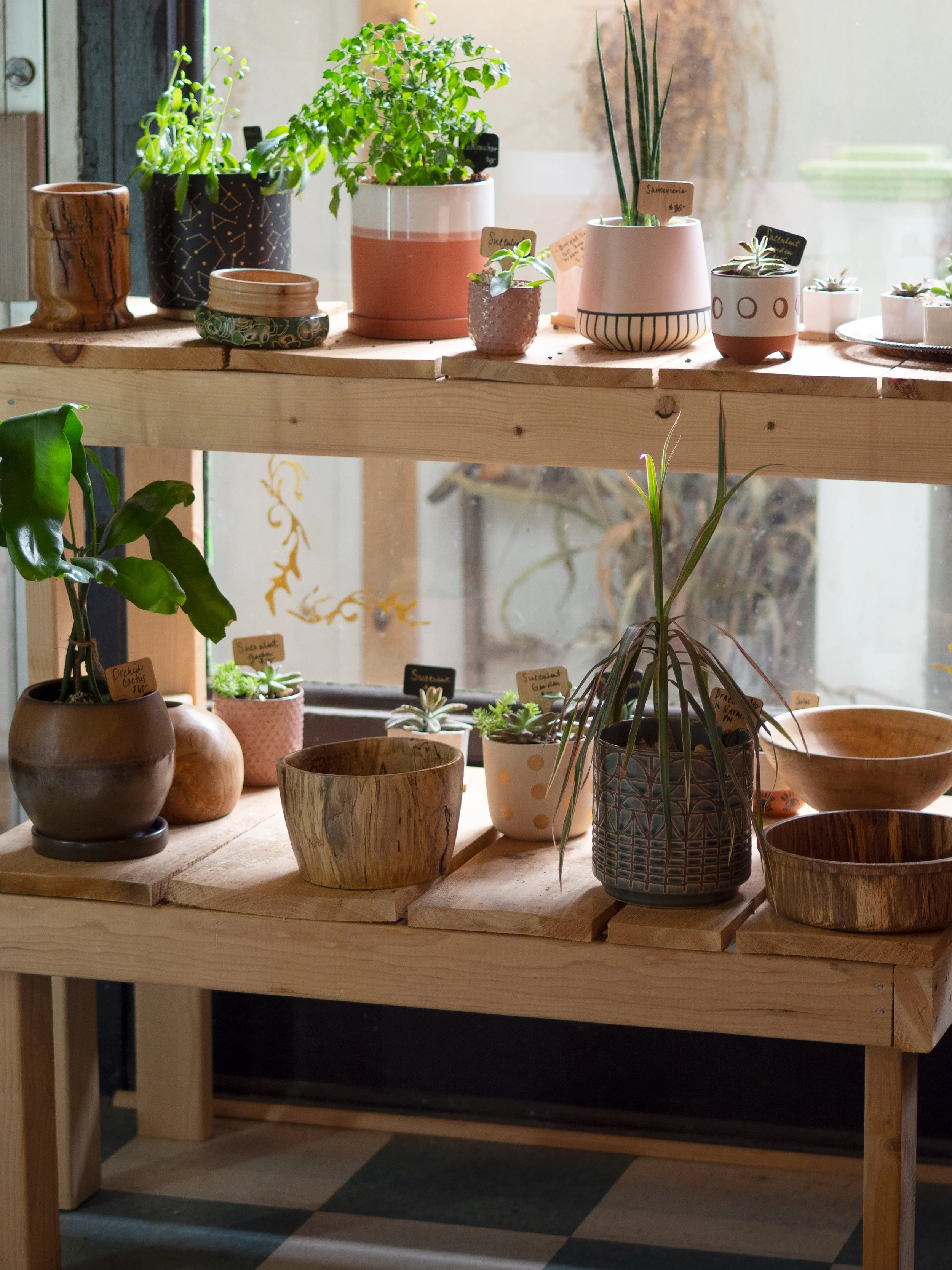 Indoor wooden shelf with various potted plants and empty wooden bowls.
